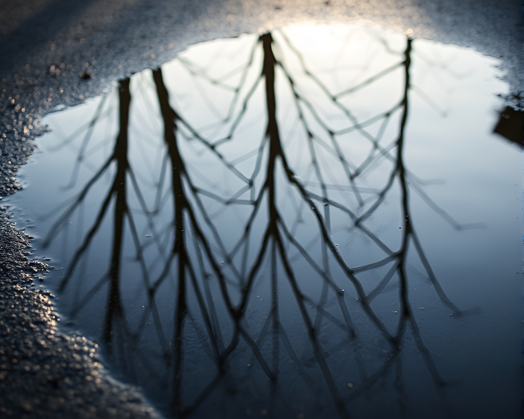 Ley Lines Reflection: Mystical Shadows and Soft Focus Vision – free AI stock image