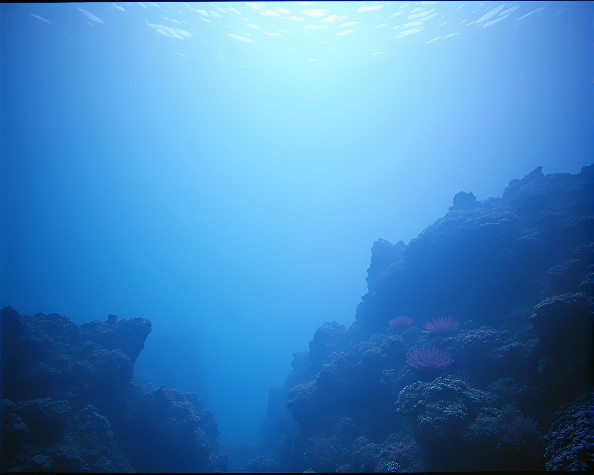 Surreal Geometric Coral Reef in VHS Haze – free AI stock image