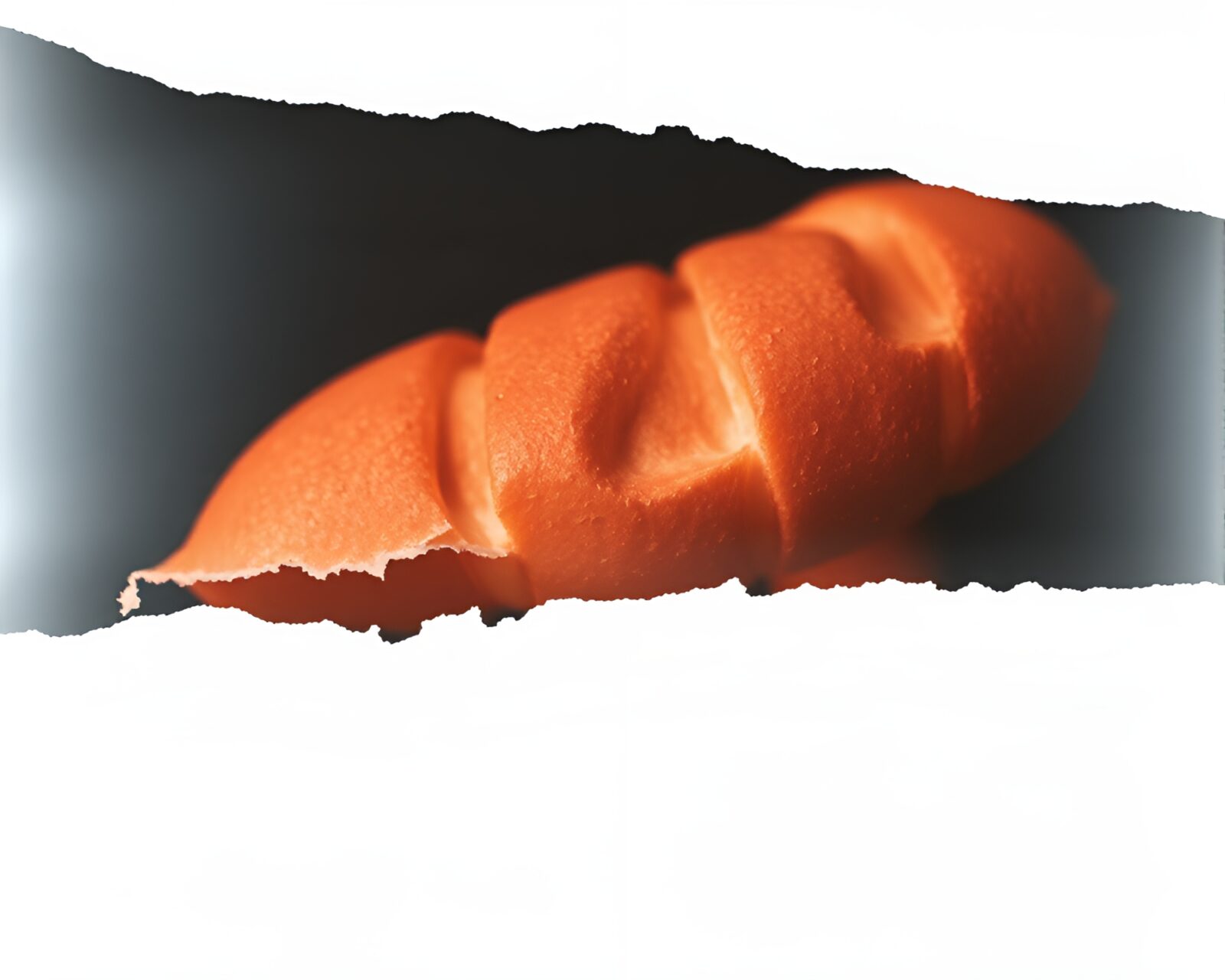 Overexposed X-ray style image of torn papers with baguette