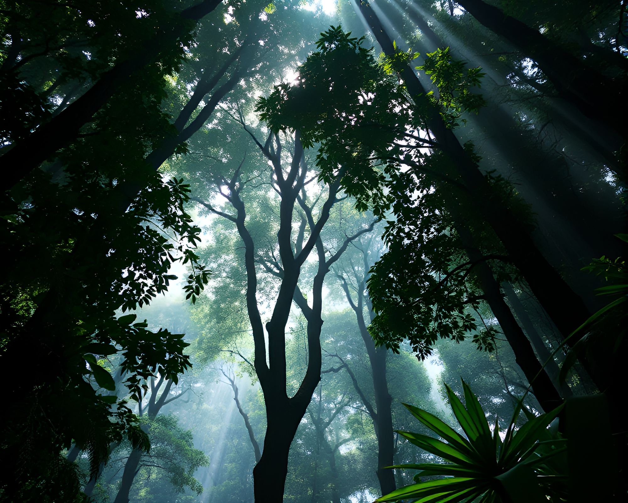 Canopy Cathedral: Rainforest Contouring Close-Up – free AI stock image