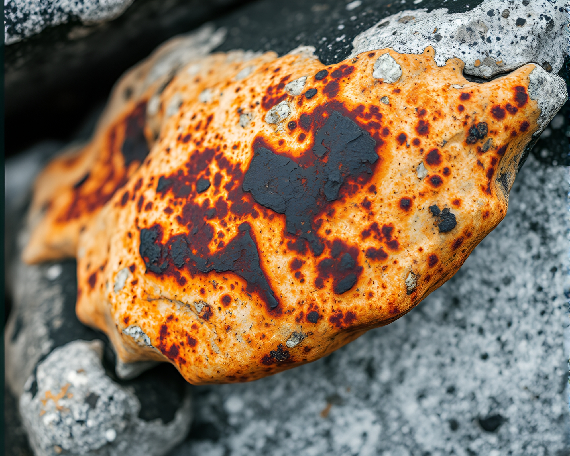 Moss-Covered Rock with Rust Flake Texture – free AI stock image