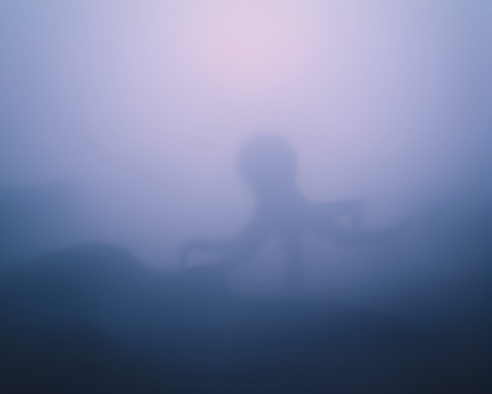 Mysterious octopus in low saturation retro-futuristic fog landscape