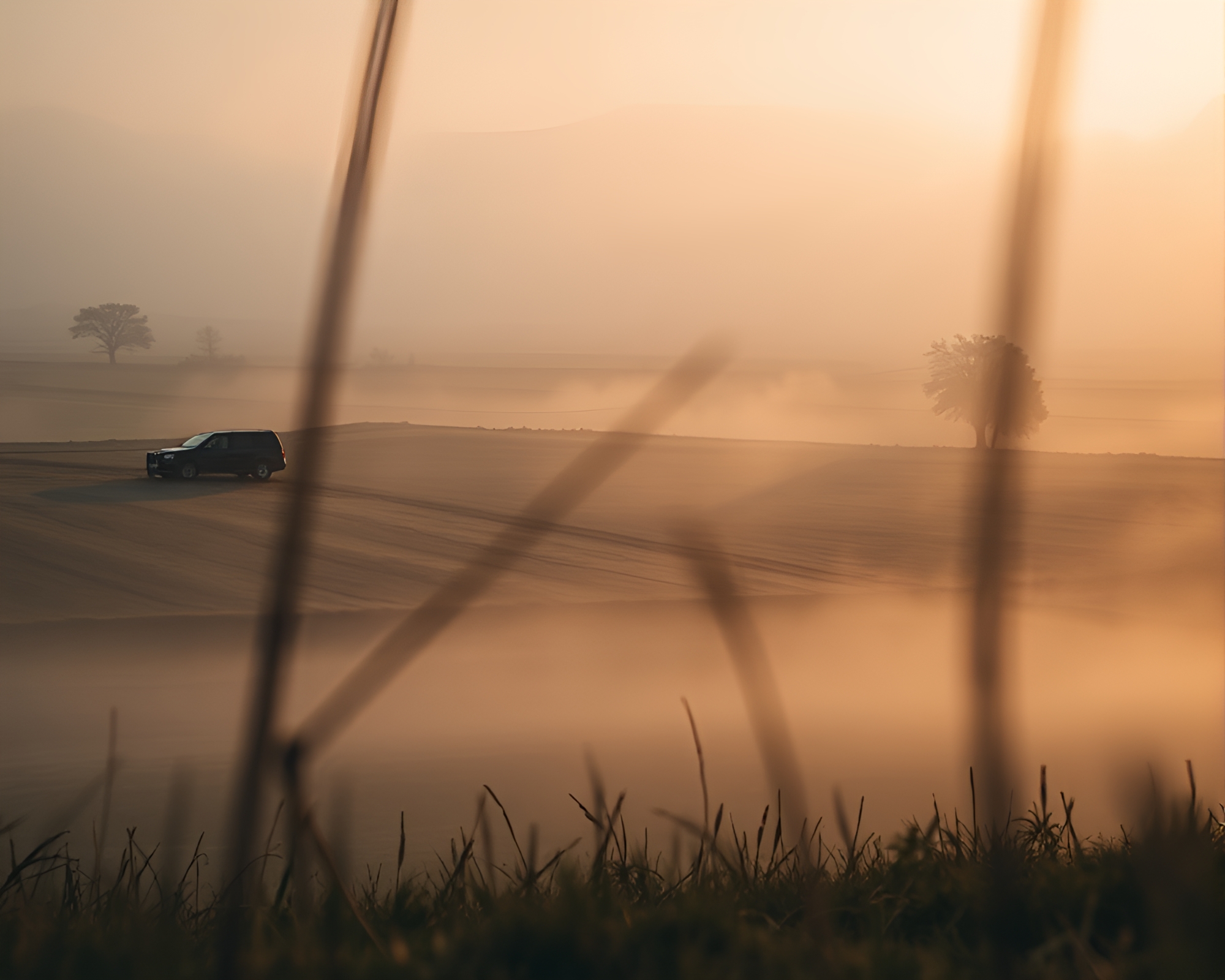 Foggy Macro Rural Landscape Framed by Rule of Thirds – free AI stock image