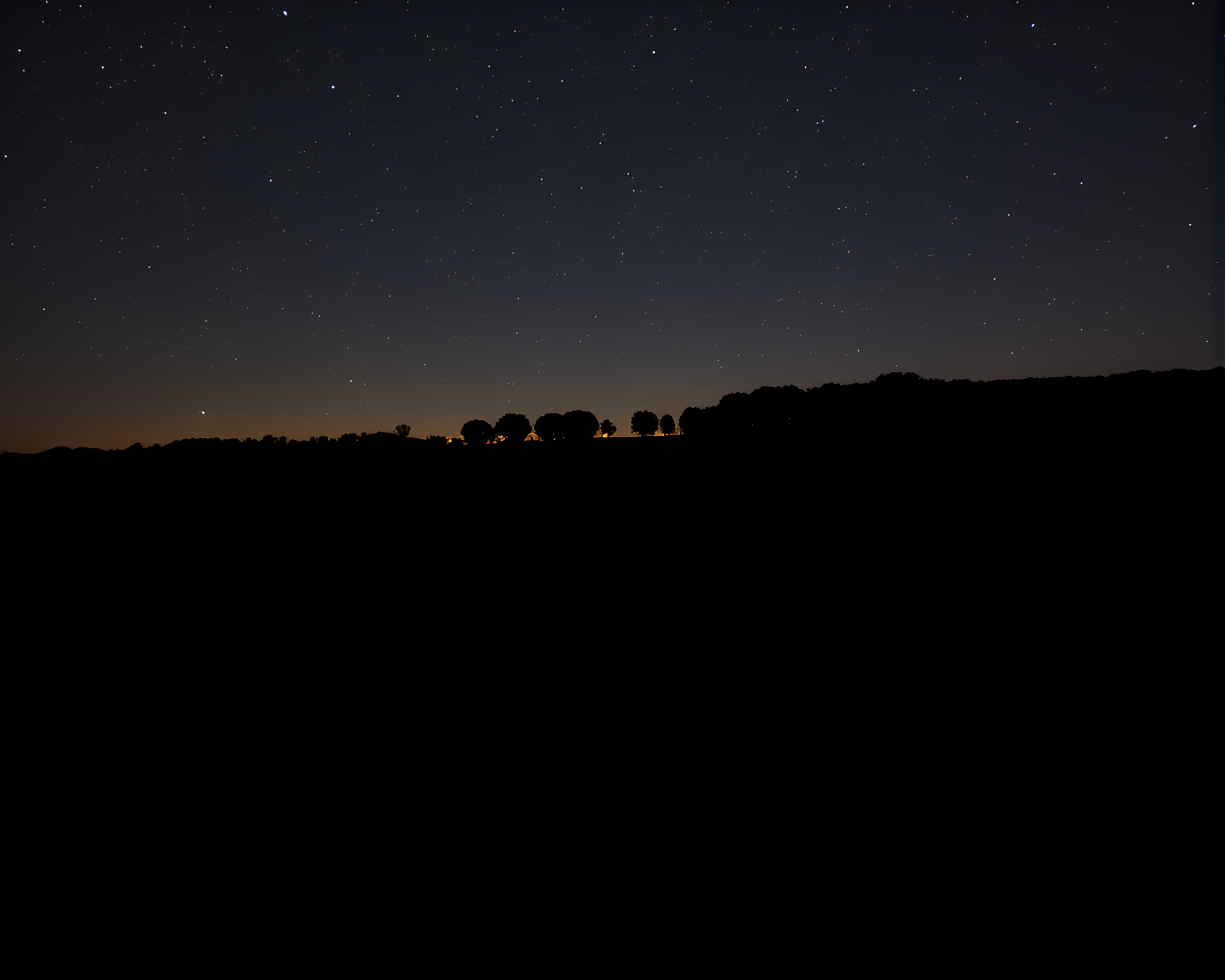 Starry Vineyard Silhouette: Dramatic Long Exposure Photography – free AI stock image
