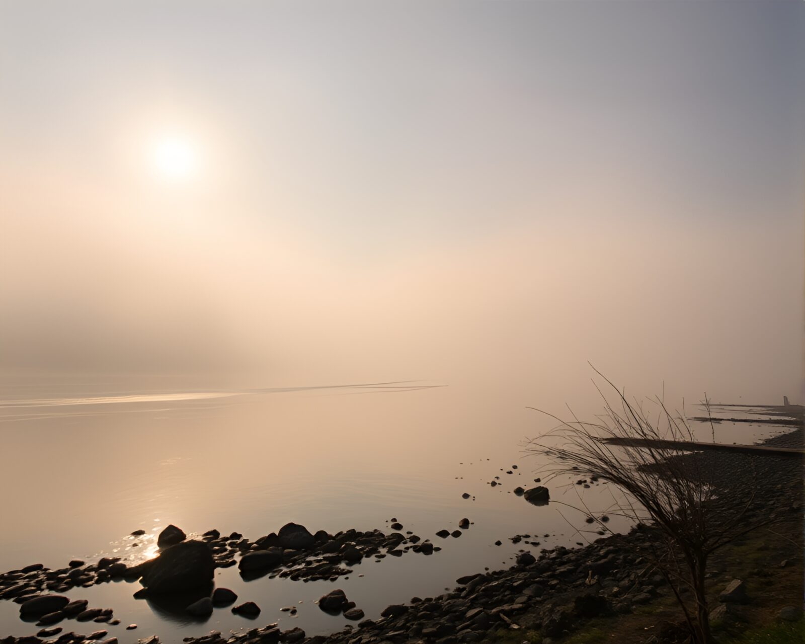 Setting sun casting shadows on misty riverbank with blurred motion