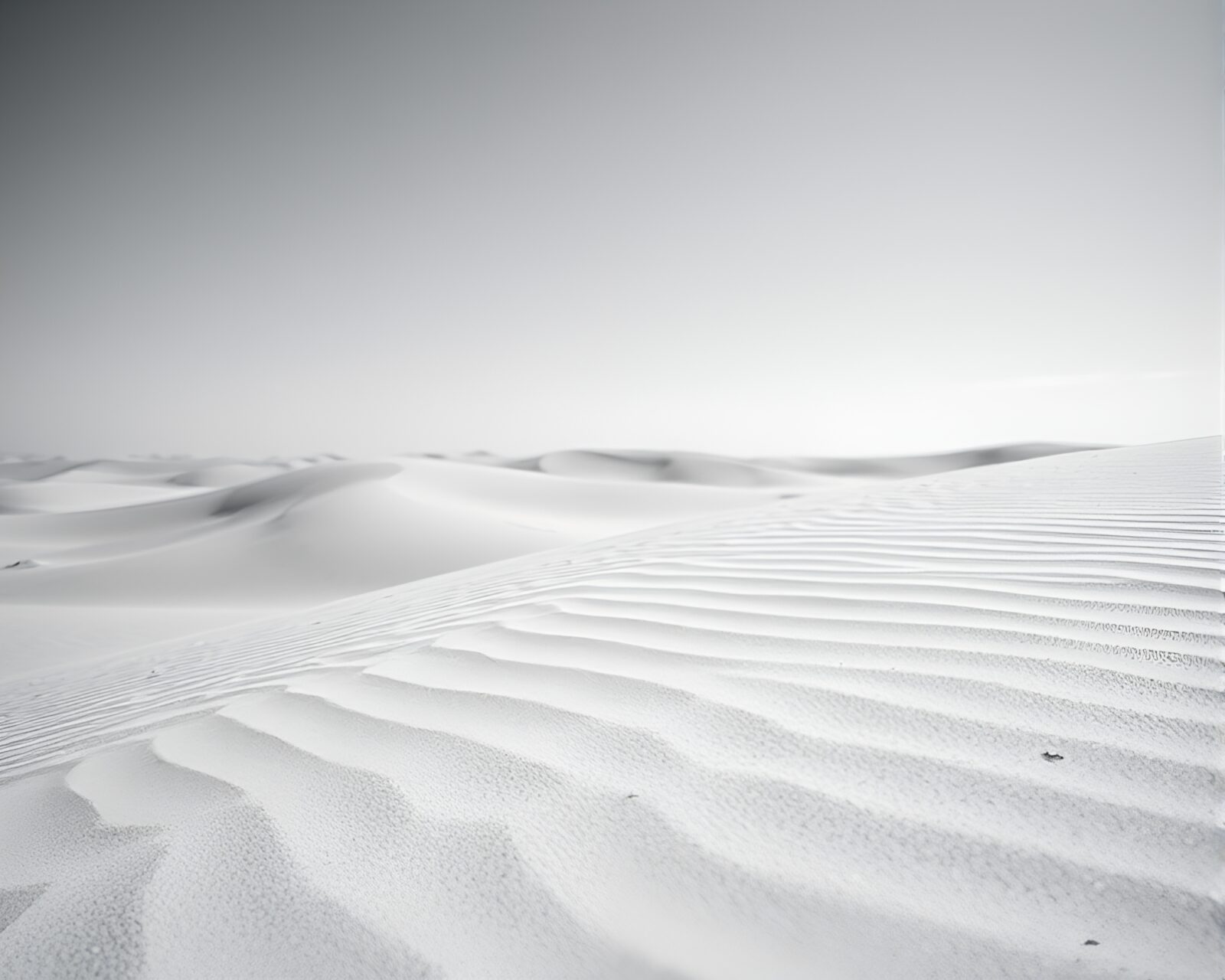 Vibrant black and white desert landscape with neon accents