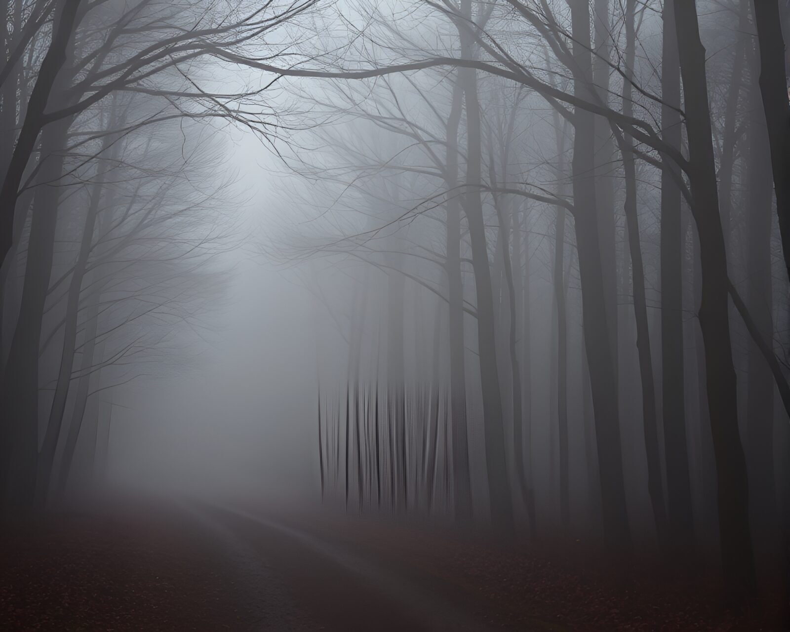 Tranquil forest path immersed in ethereal fog and light