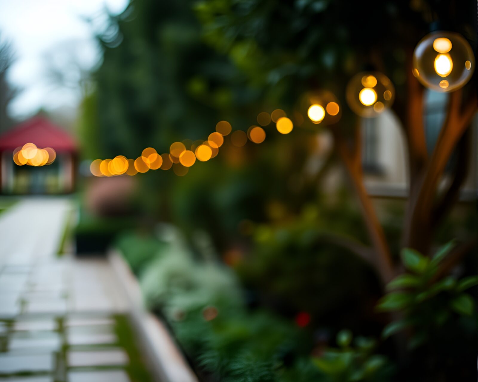 Colorful aerial view of garden path in fog