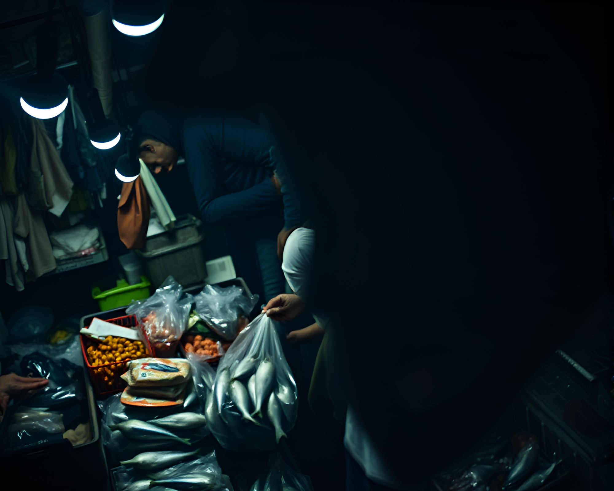 Enigmatic Aerial View: Fisherman at Grocery Store – free AI stock image