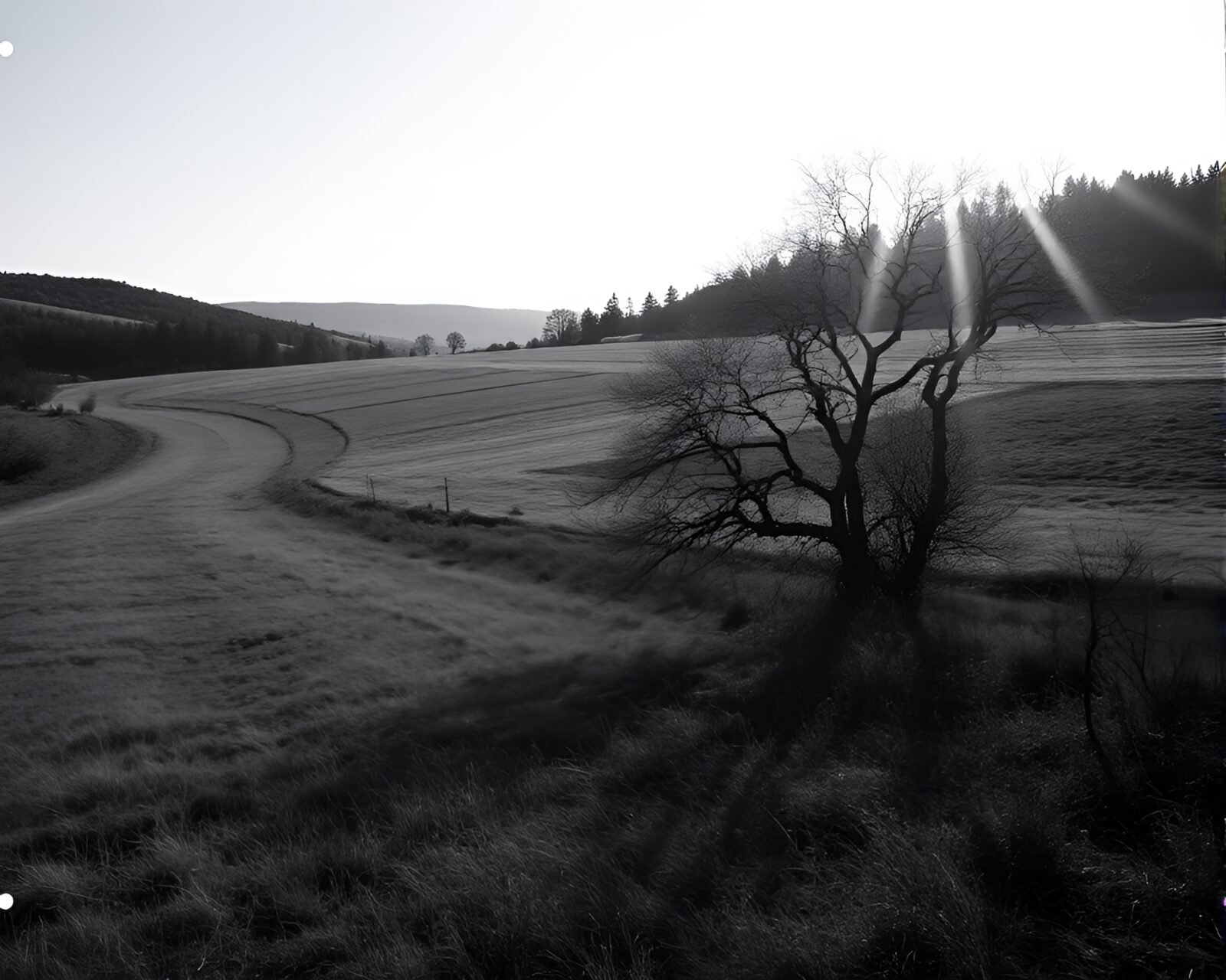 Misty glacier field with sepia tone and rim lighting