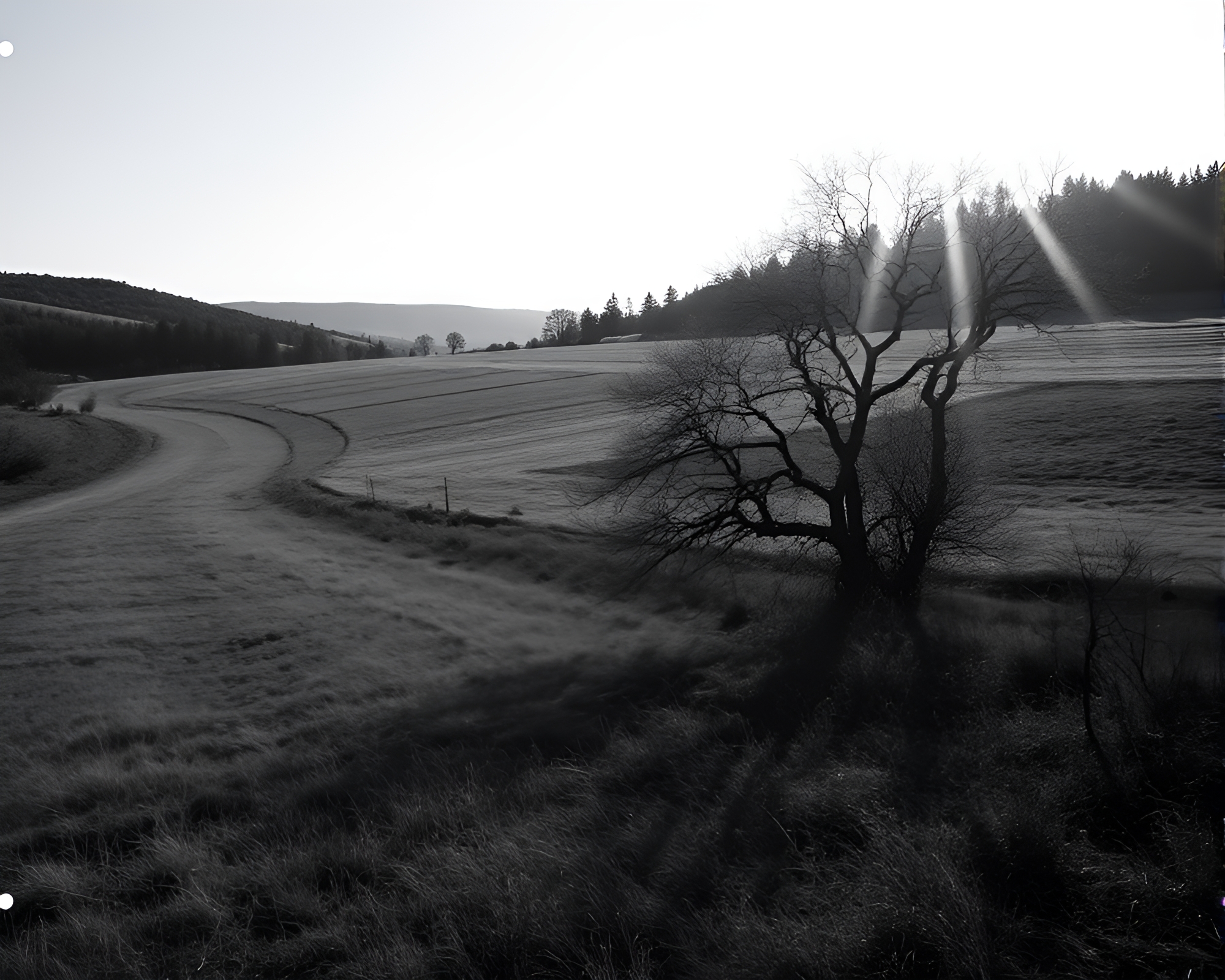 Sepia Glacier Glow: Enigmatic Mist in the Distance – free AI stock image