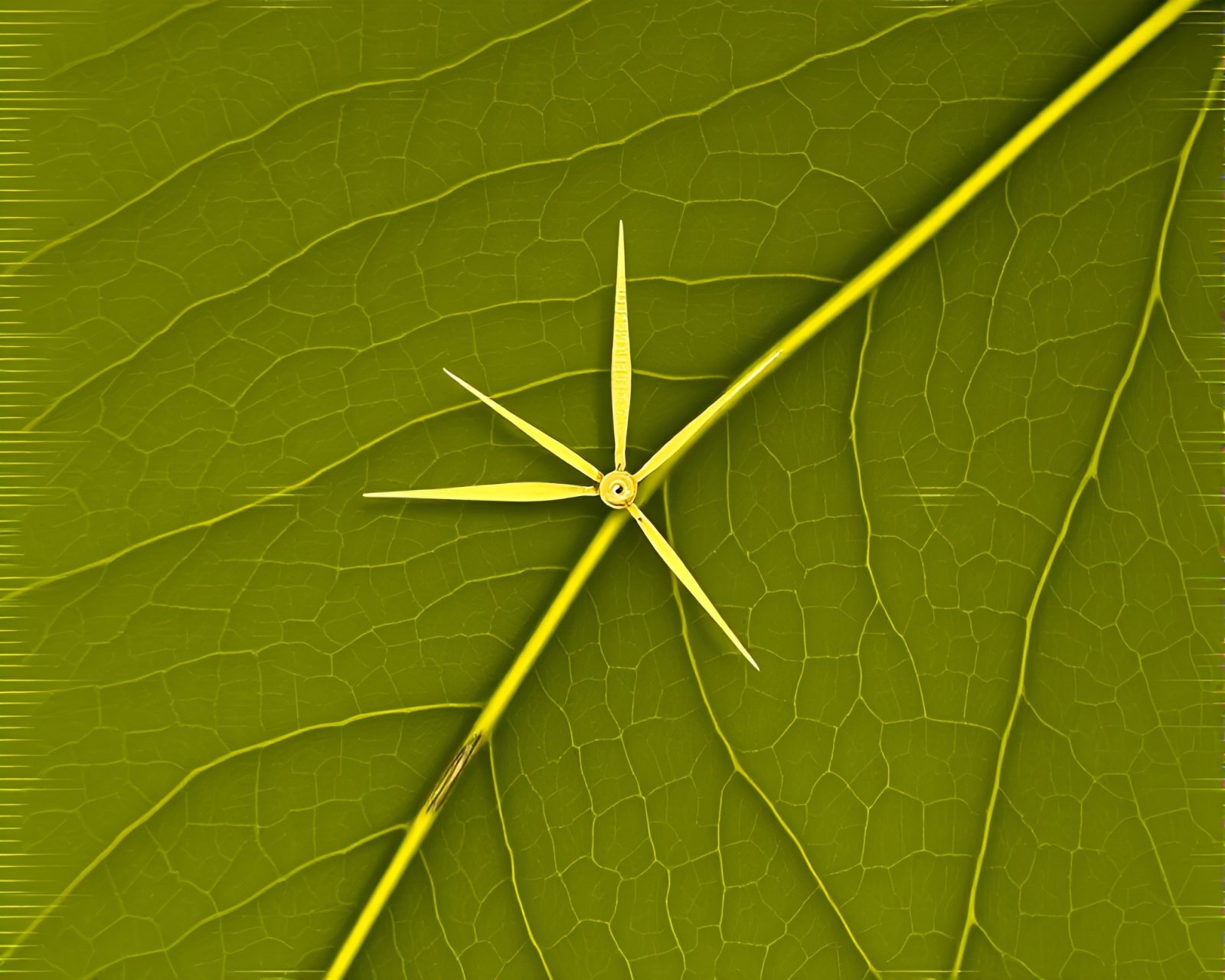 Olive toned clock with intricate leaf vein patterns