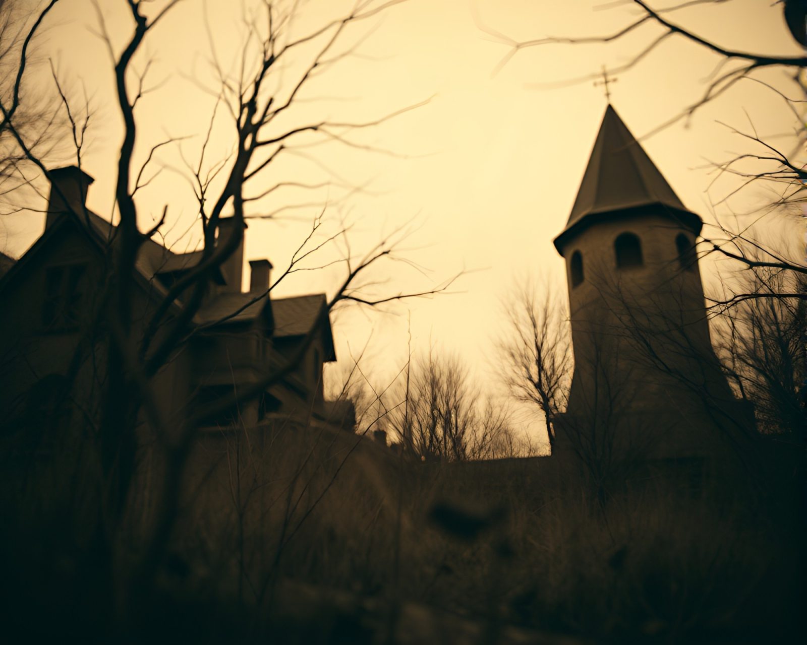 Sepia-toned image of shadowy altar in dark enchanted woods