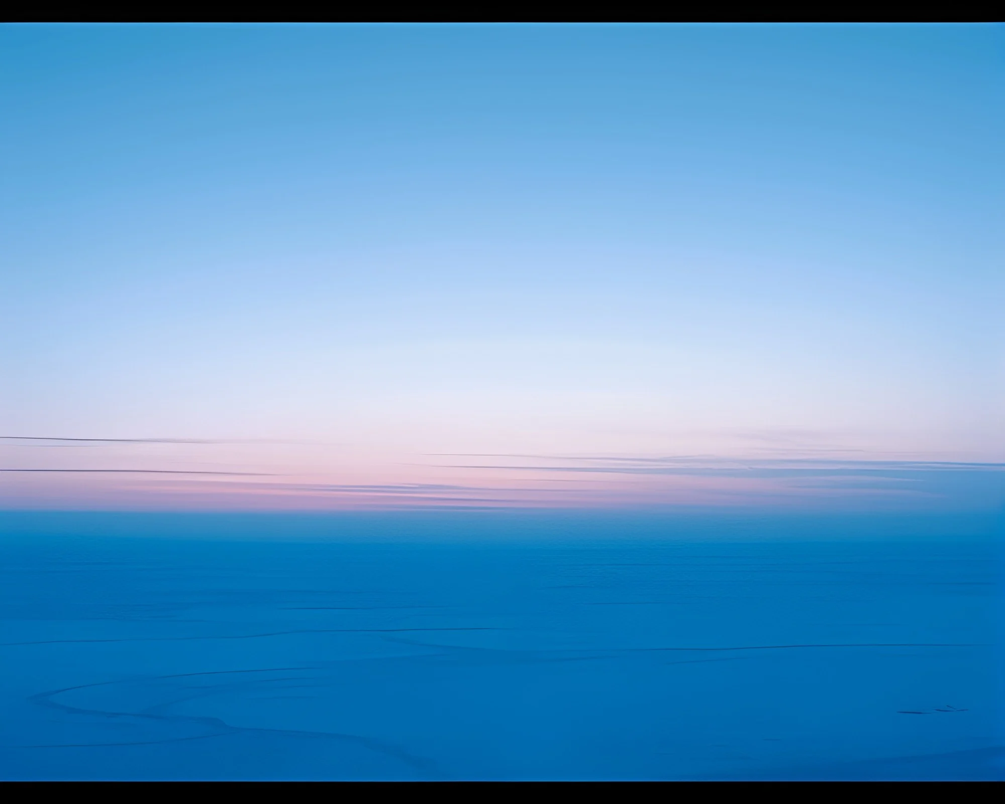 Duochrome Ice-Blue Trumpet amidst Grid Overlay Composition