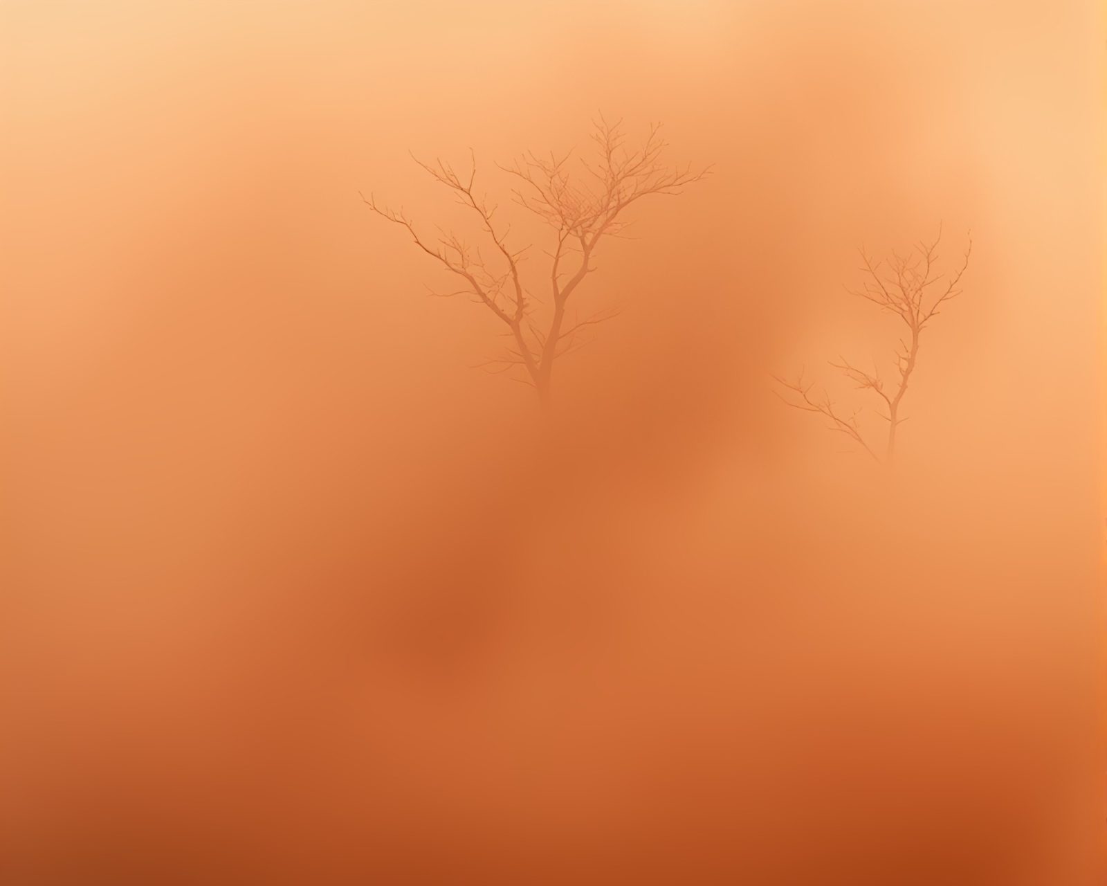 Surreal scene with swirling dust and misty atmosphere