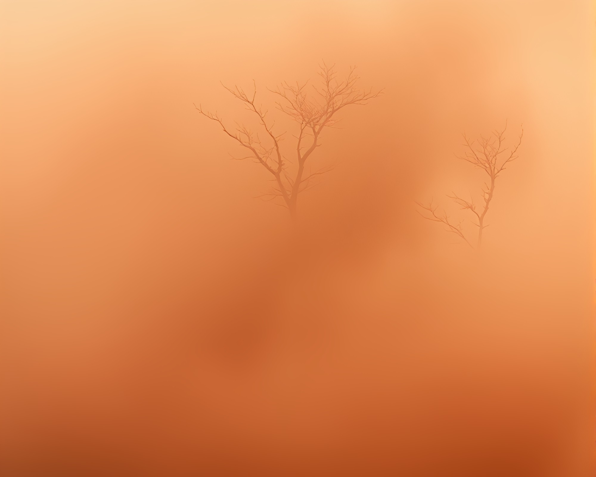 Dust Veil: Surreal Dreamscape with Misty Air – free AI stock image