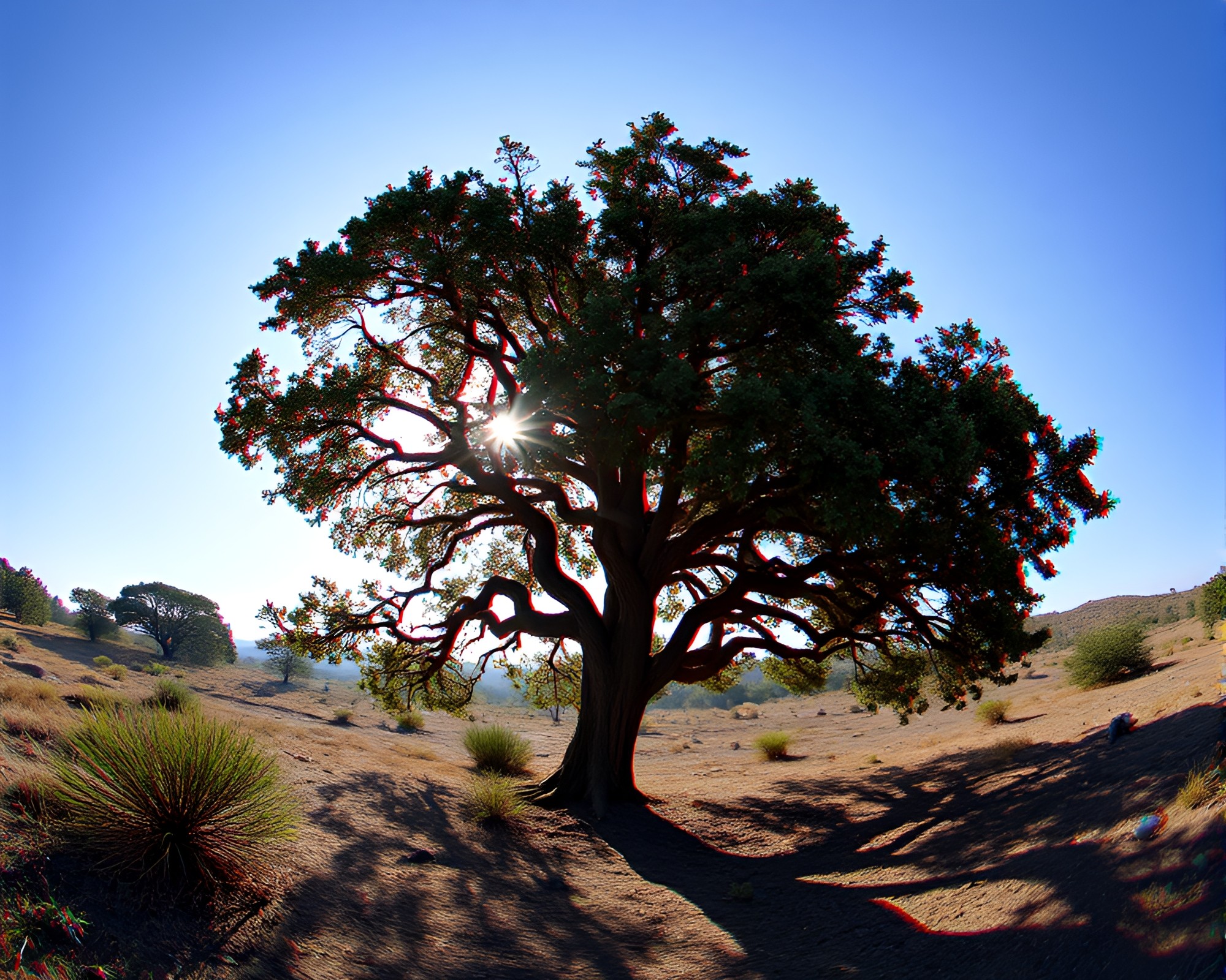 Enigmatic Ancient Tree During Solar Eclipse in 3D – free AI stock image