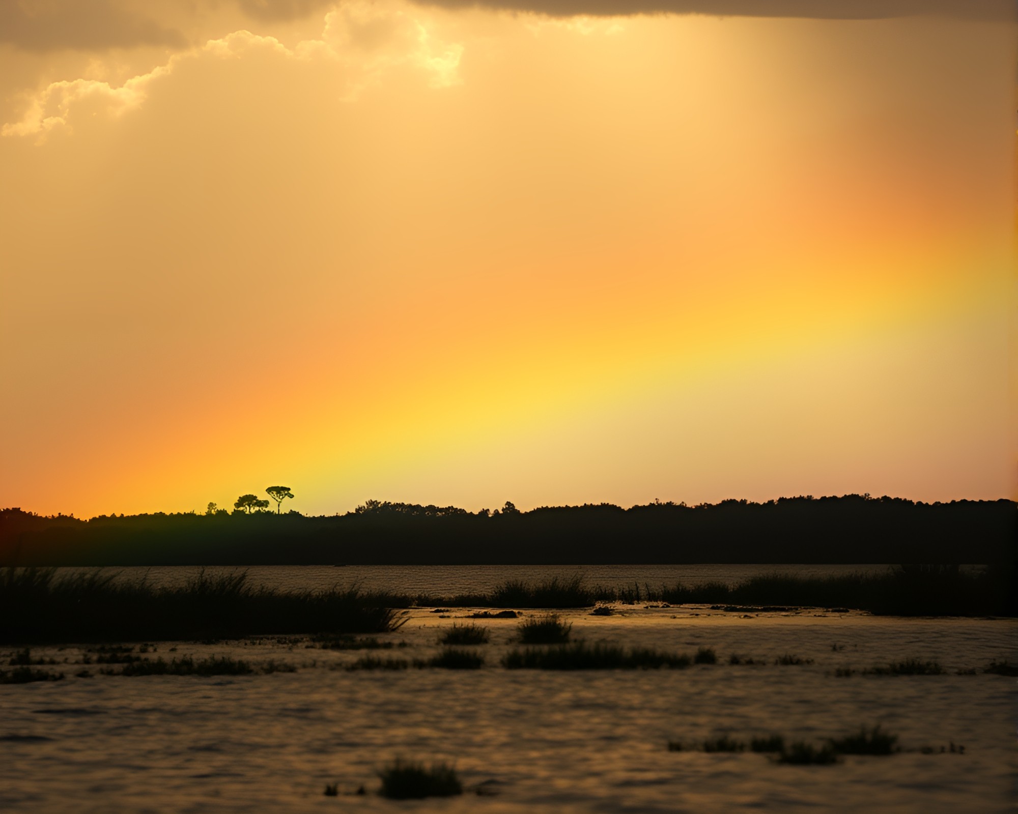 Savannah Sunset Silhouette with Distorted Rainbow Water – free AI stock image