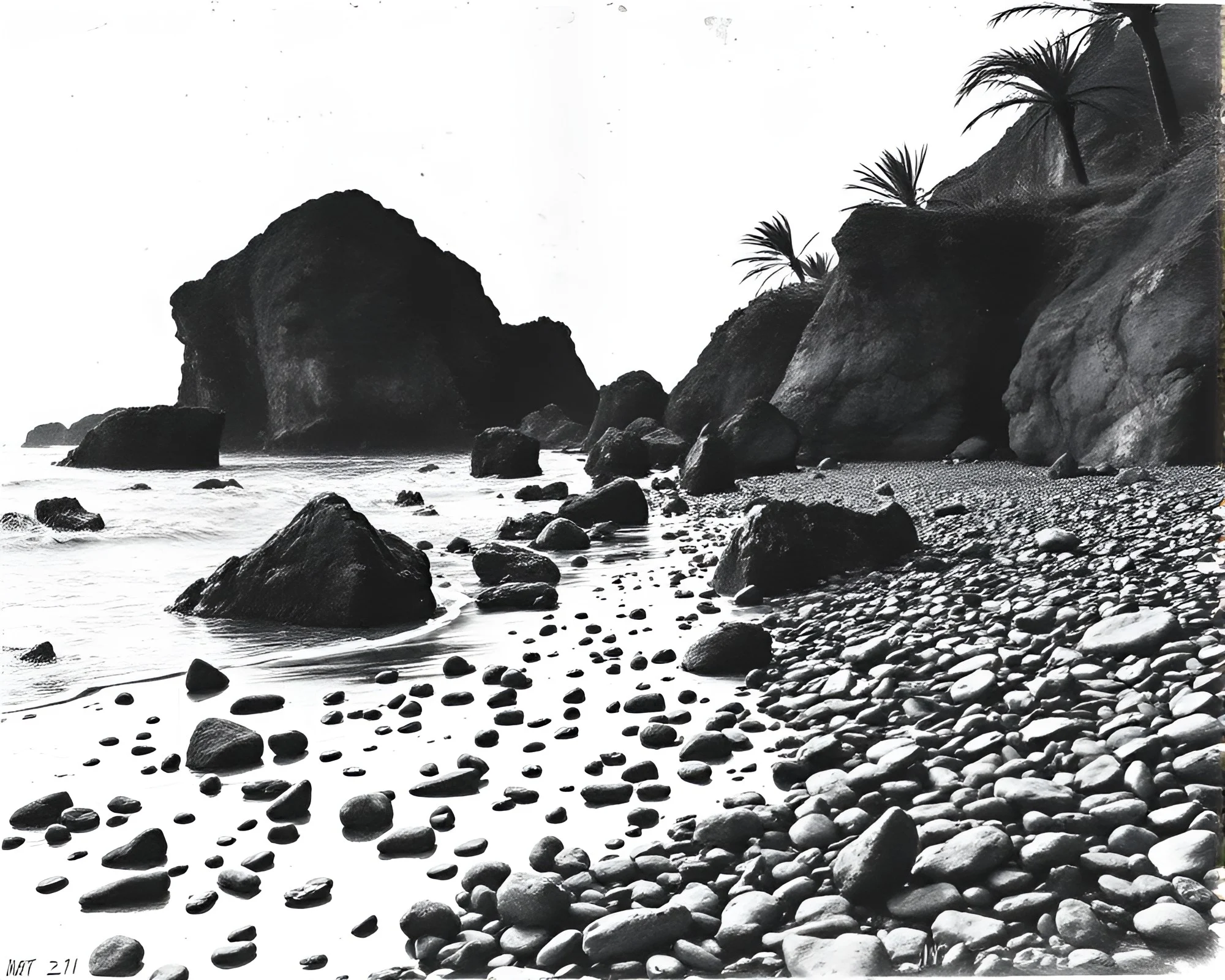 Ink Drips Noir Pebble Beach Grunge