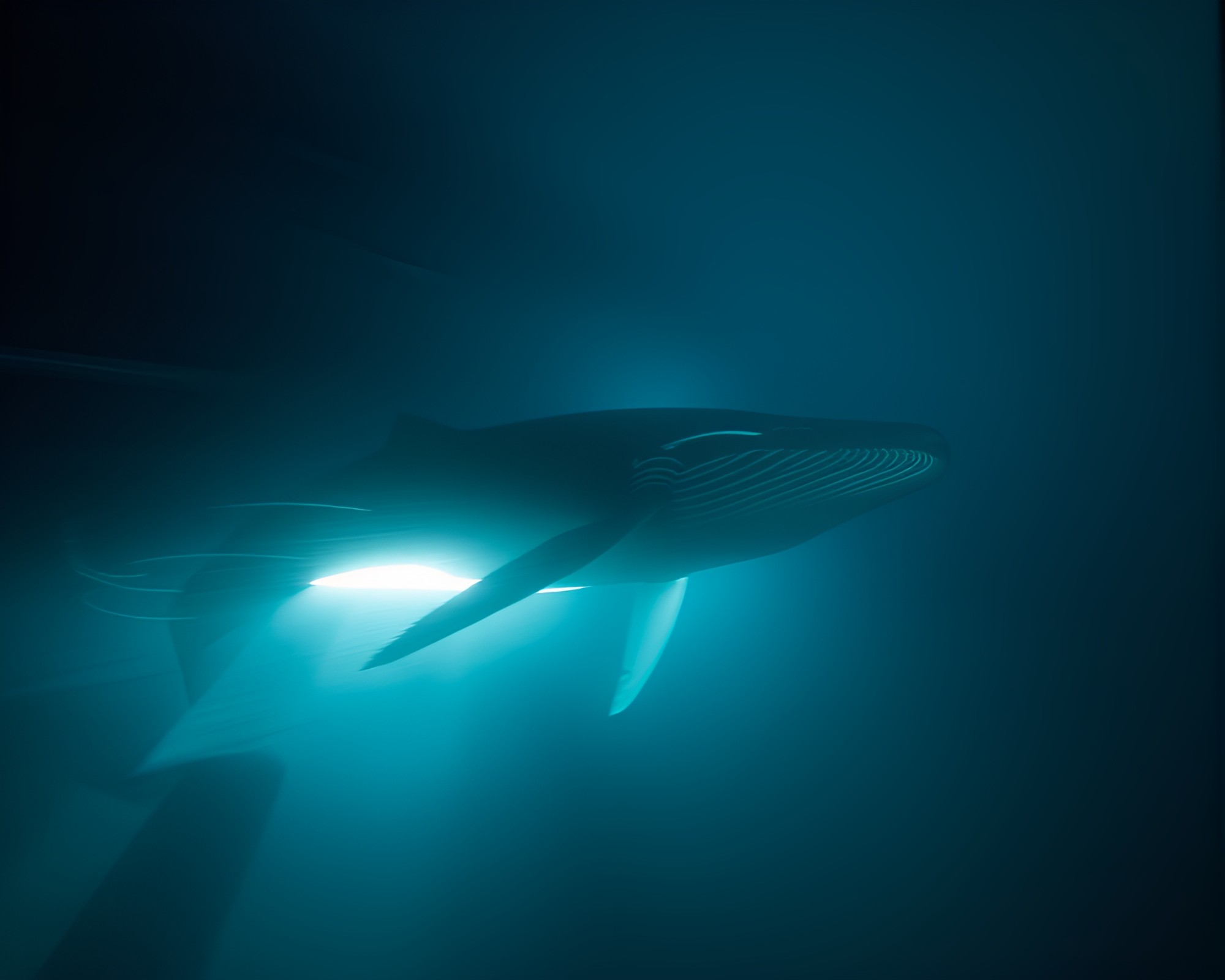 Whale in Strobe: Motion Blur Hatching Art – free AI stock image