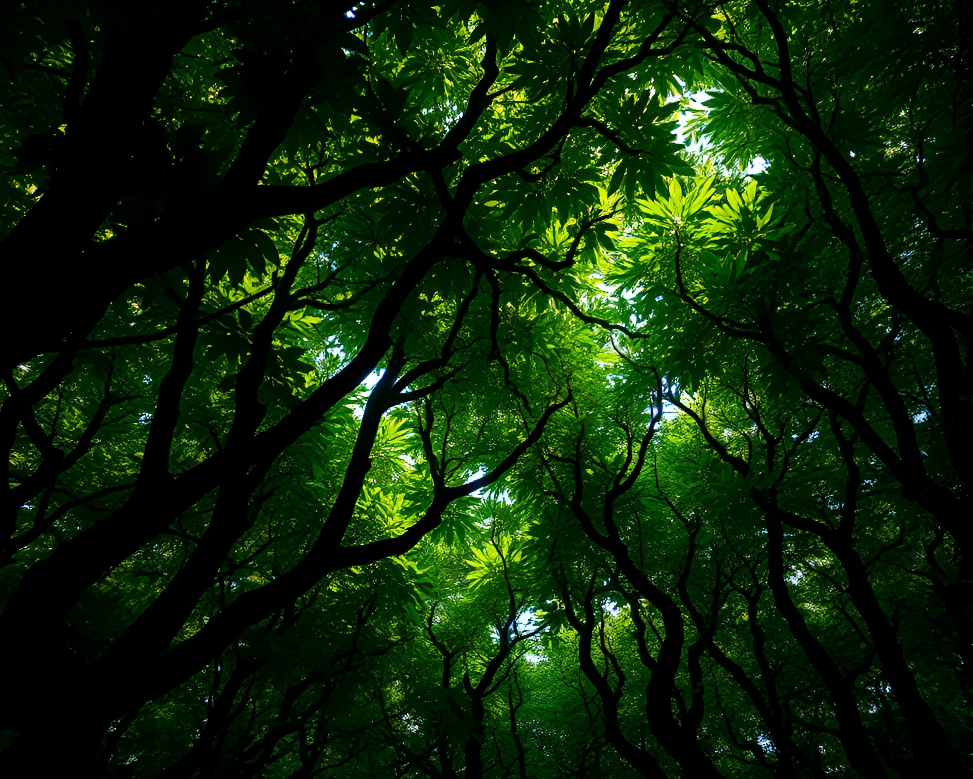 Fractal Jungle Canopy: Macro Generative Network Art – free AI stock image