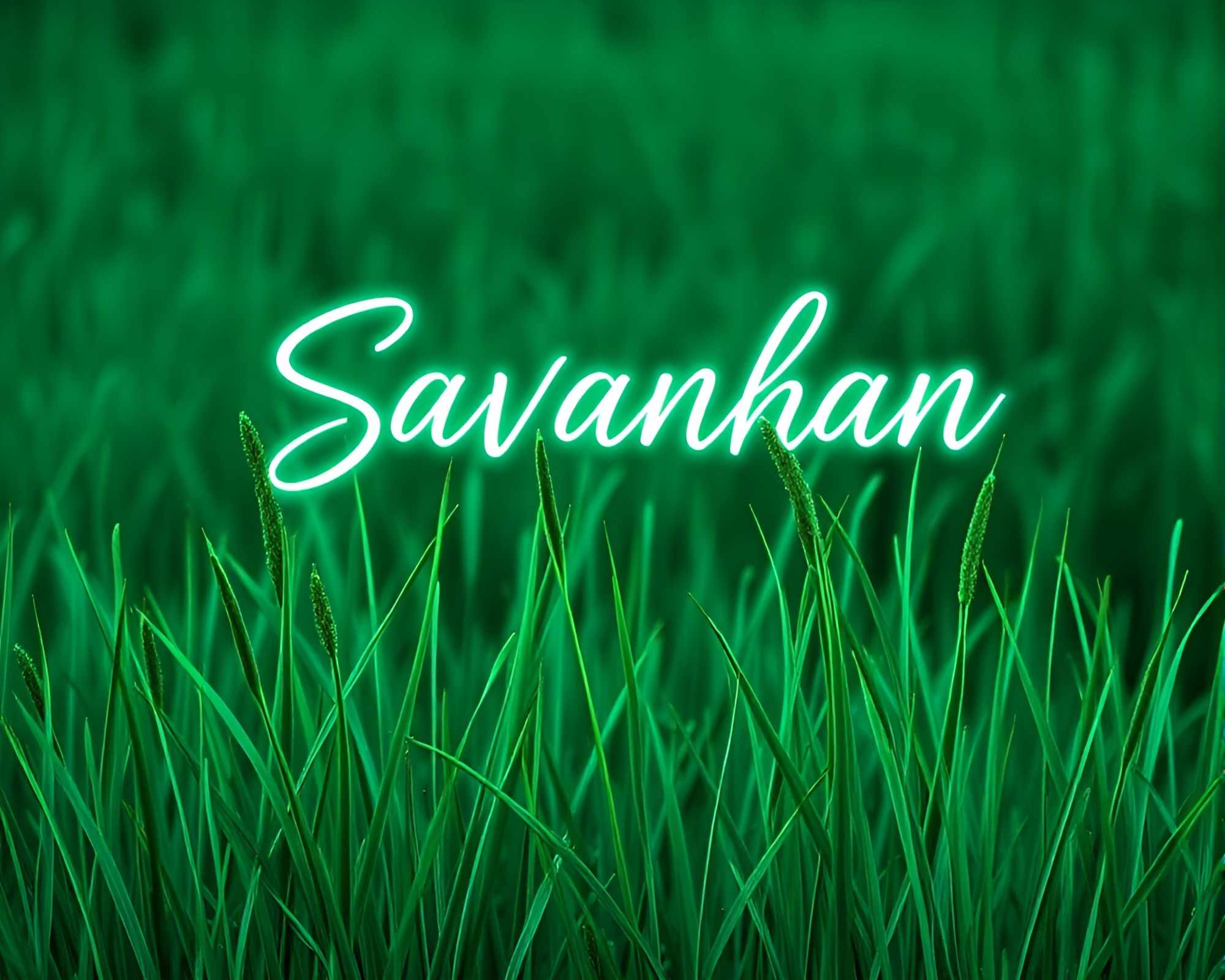 Mint Green Calligraphy on Savannah Grass with Scan Lines – free AI stock image