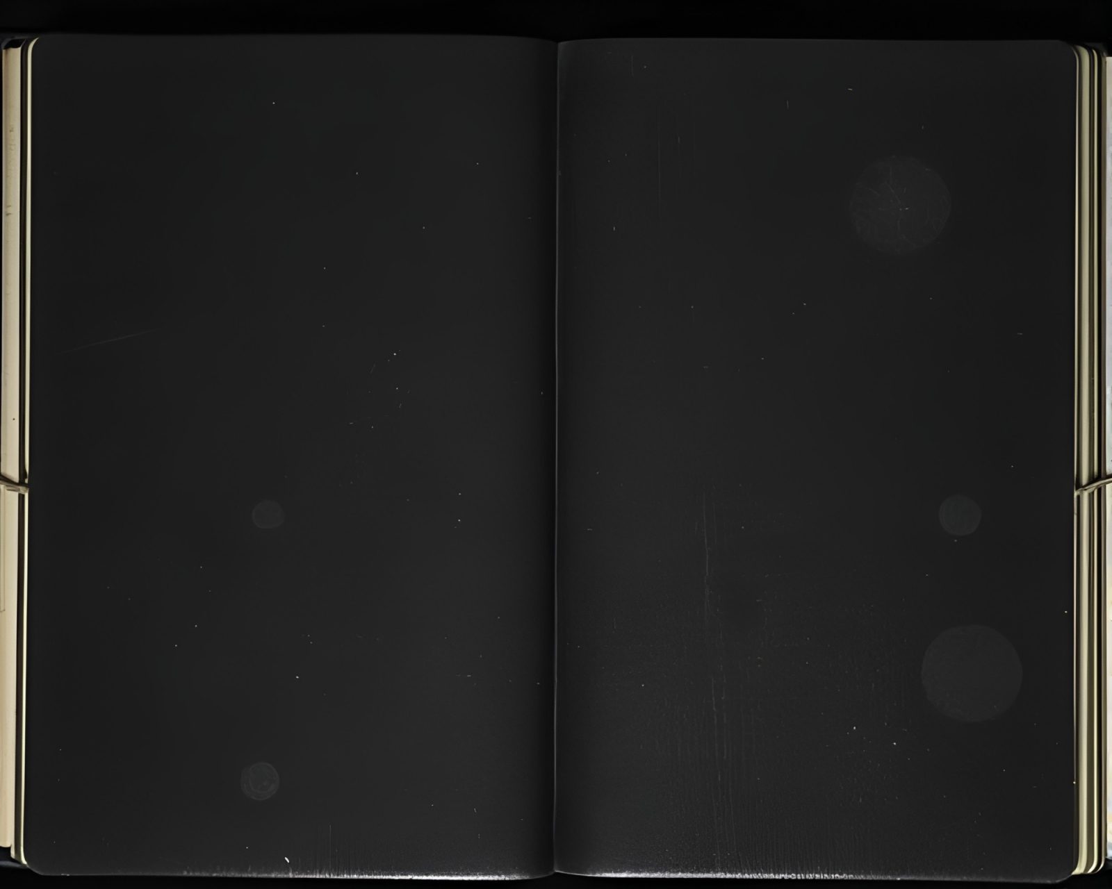 Desaturated leather diary covered in mildew spots under vignette lighting