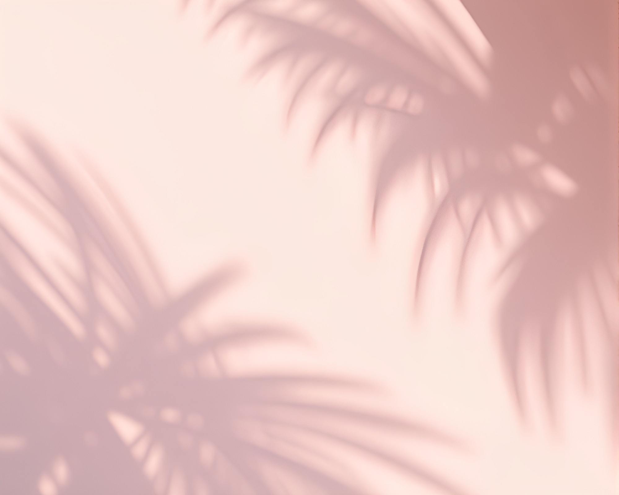 Soft Beach Shadows: Calligraphy Summer Serenity – free AI stock image