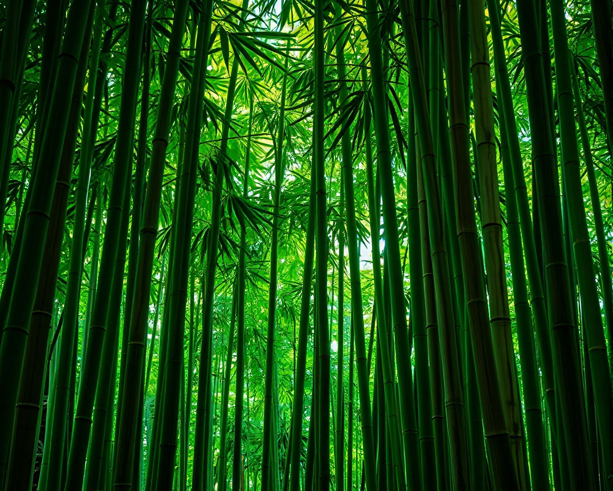 Maximalist Bamboo Grove: Mosaic Wood Grain Lighting Design – free AI stock image