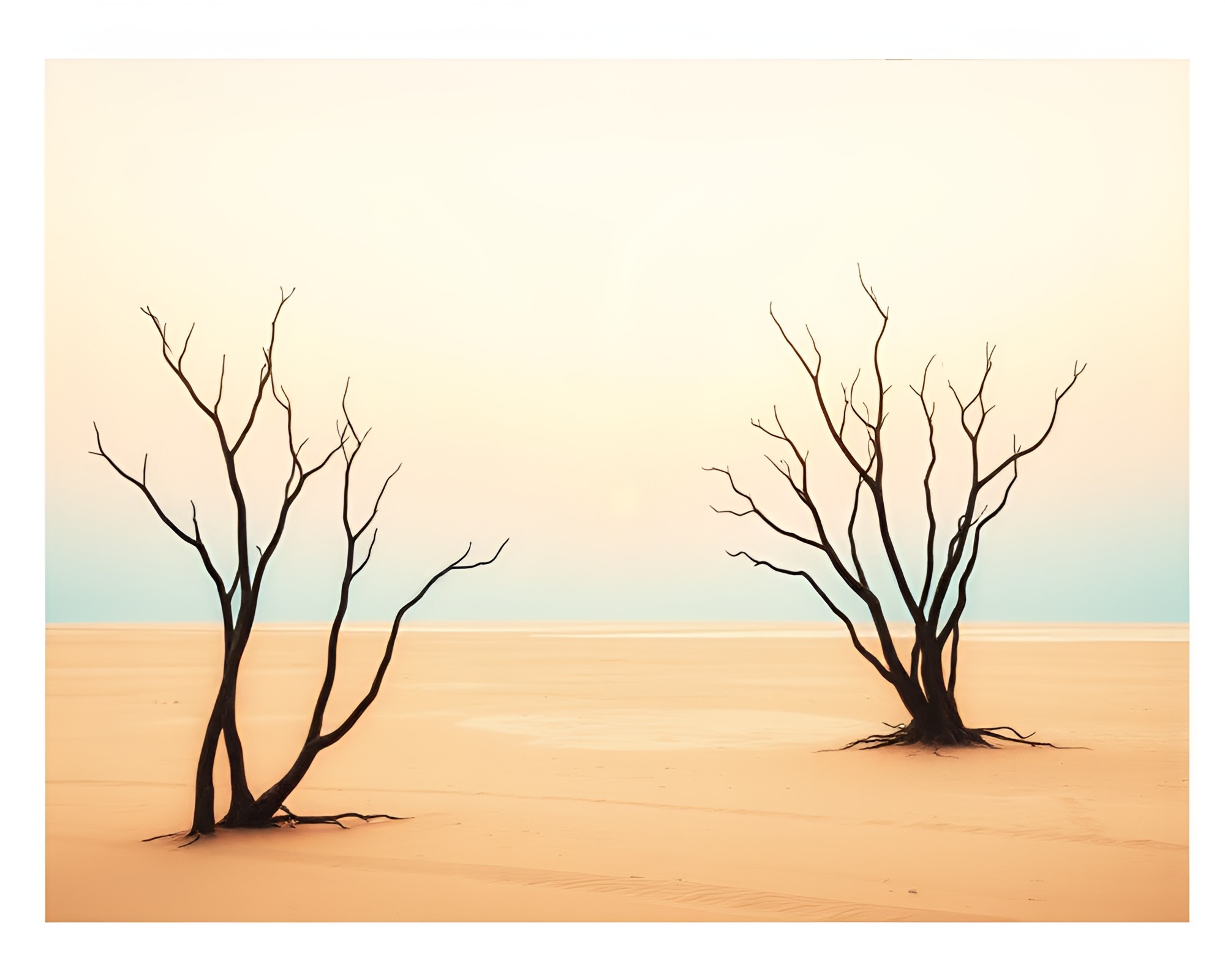 Mangrove Swamp Serenity in Polaroid Screenprint – free AI stock image