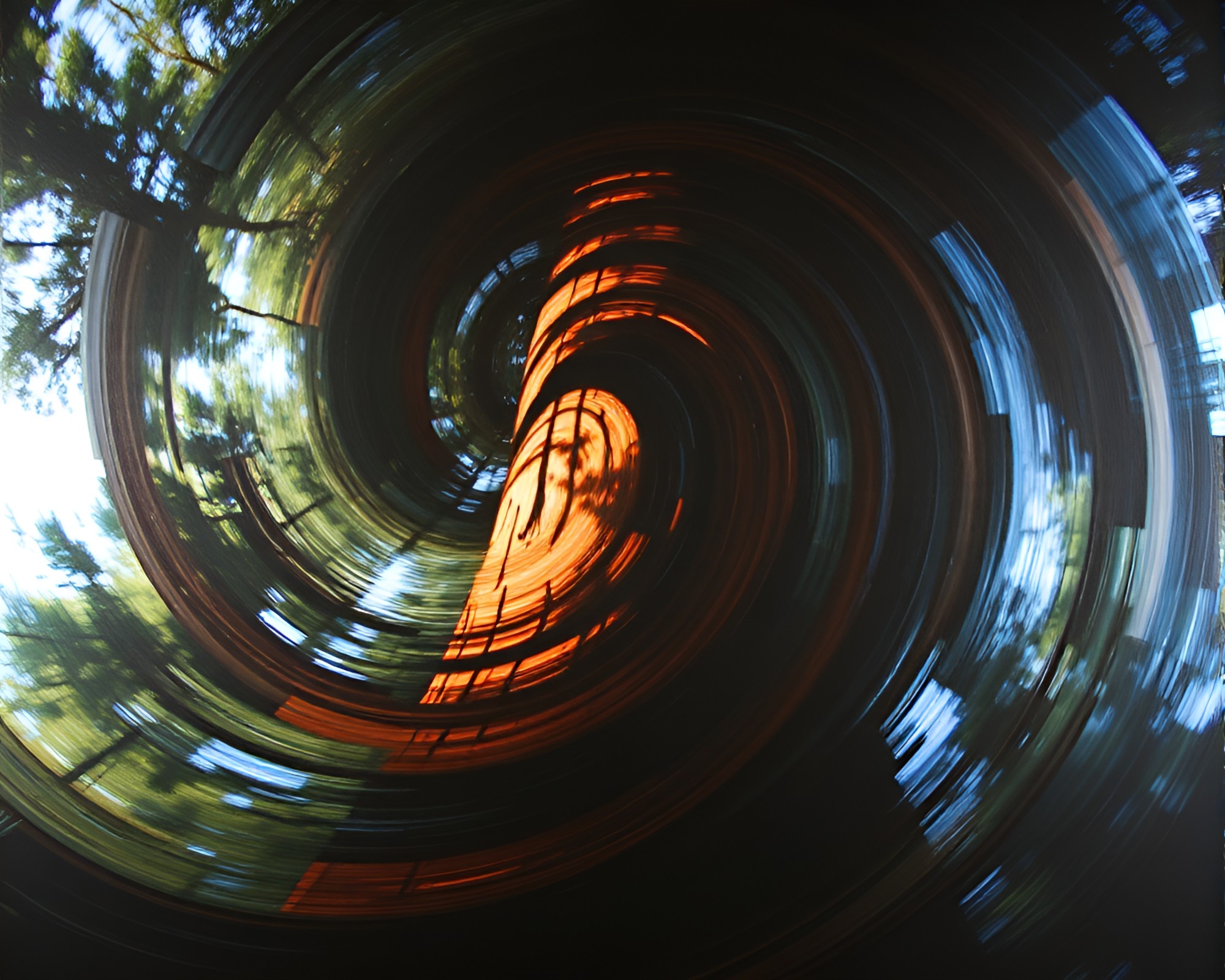 Enchanted Redwood Grove: Lens Distortion Swirls and Chiaroscuro Drama – free AI stock image