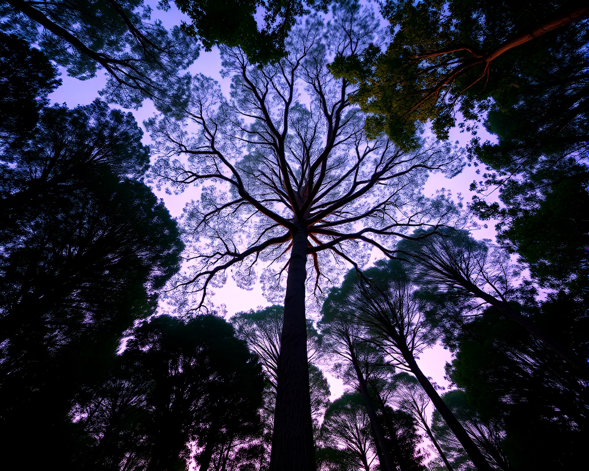 Lavender Twilight Canopy: Radiant Rainforest Symmetry – free AI stock image