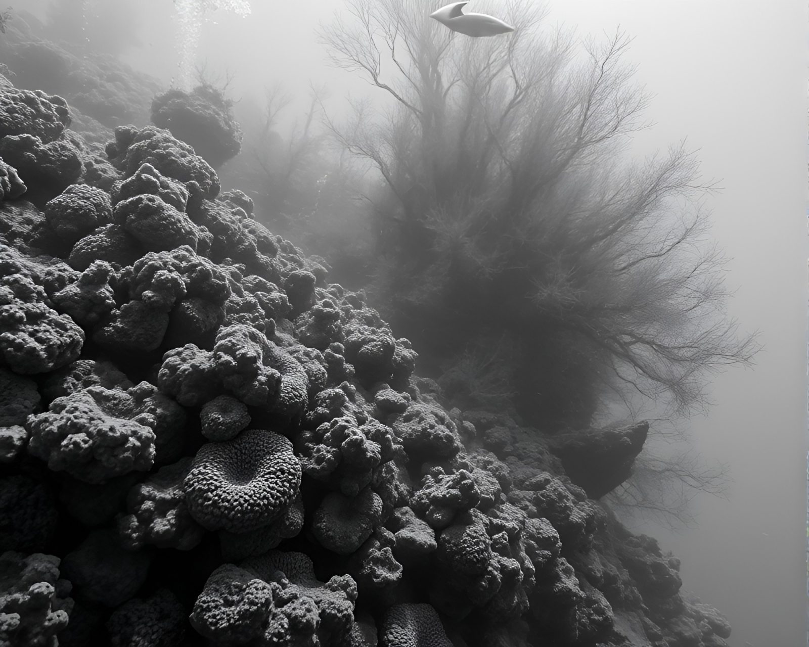 Generative adversarial network art of candid moment at reef
