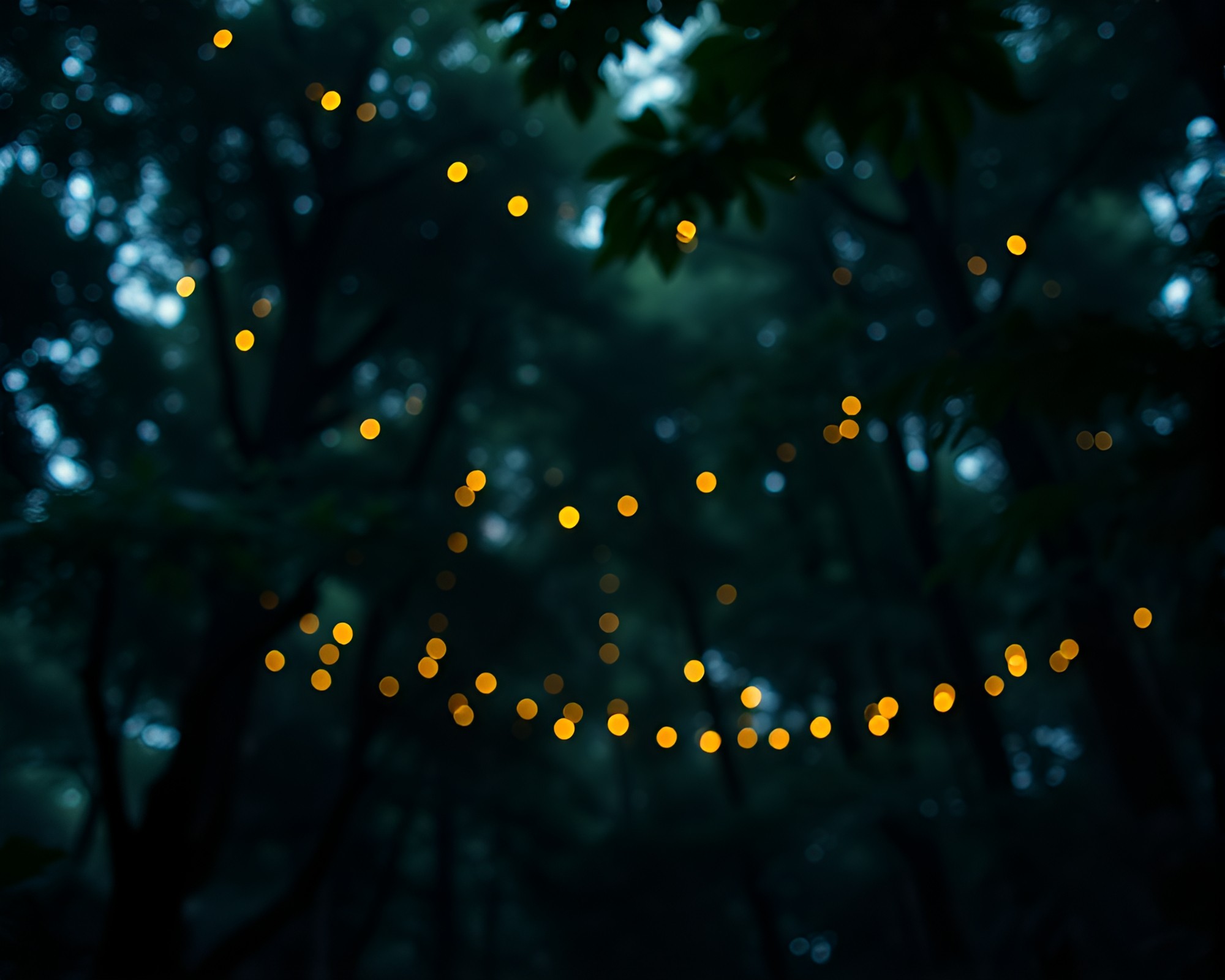 Luminous Rainforest Canopy with Hair-Like Branches – free AI stock image