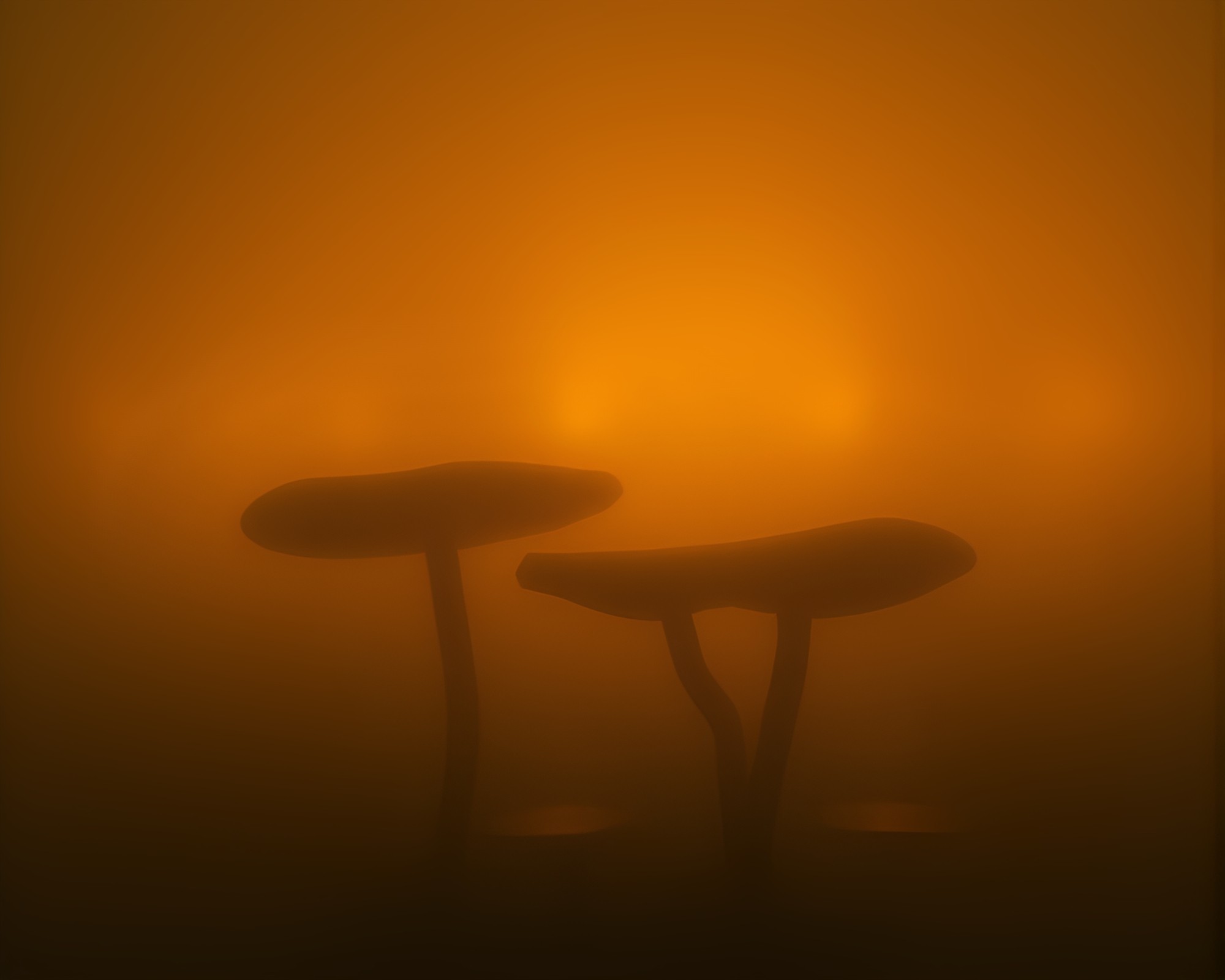 Enigmatic Fungal Forest Mystery in Sepia Film Noir – free AI stock image