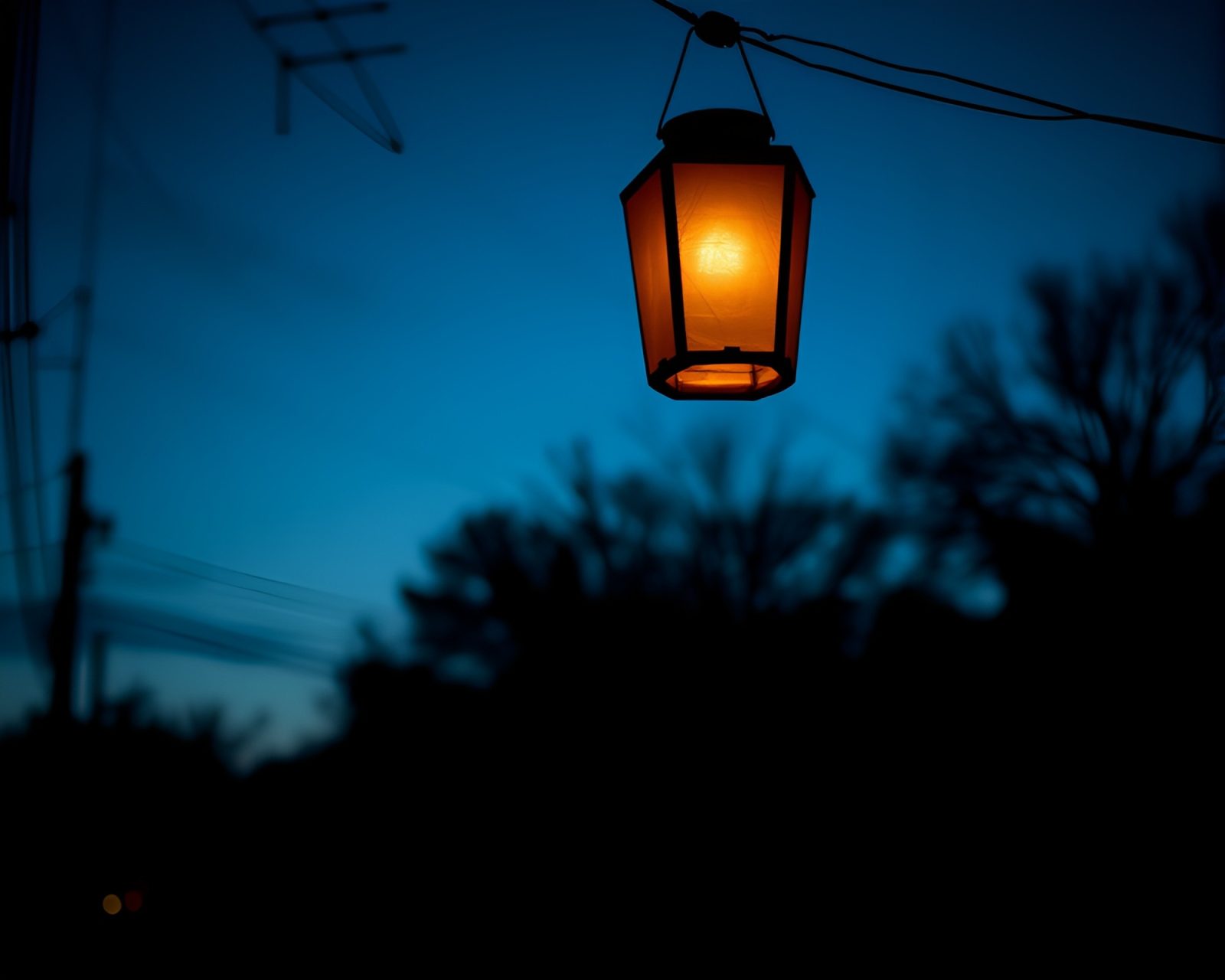 Dark path with paper lanterns glowing in blue dusk