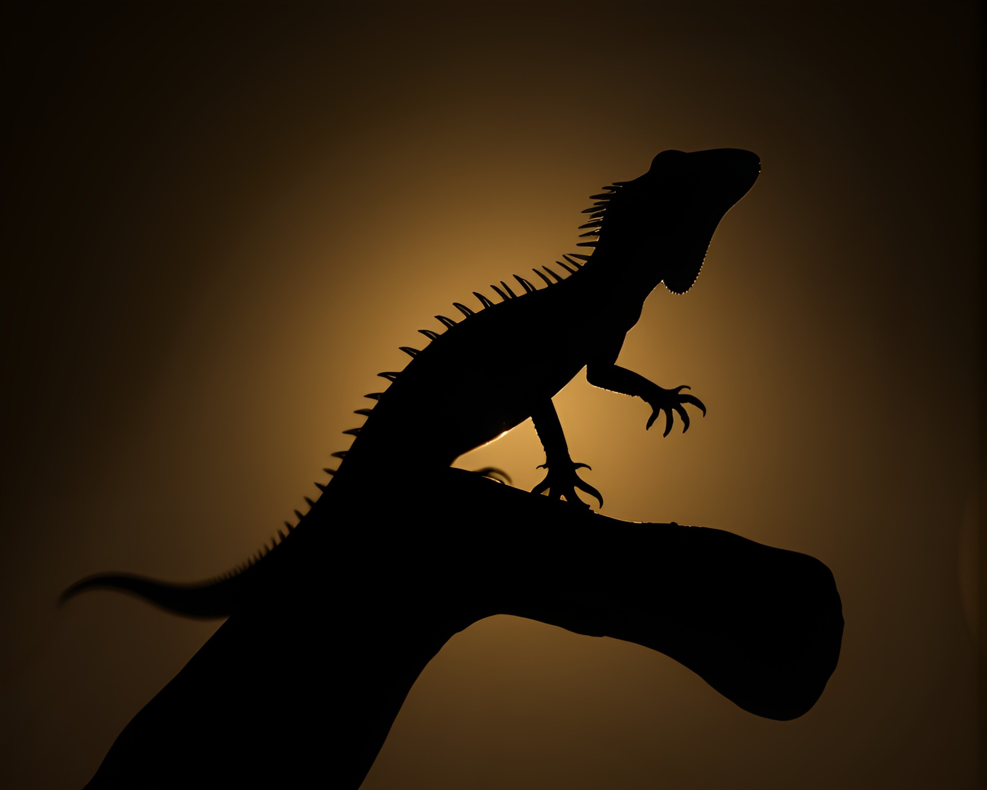 Majestic Basilisk Silhouette Emerges from Shadows – free AI stock image