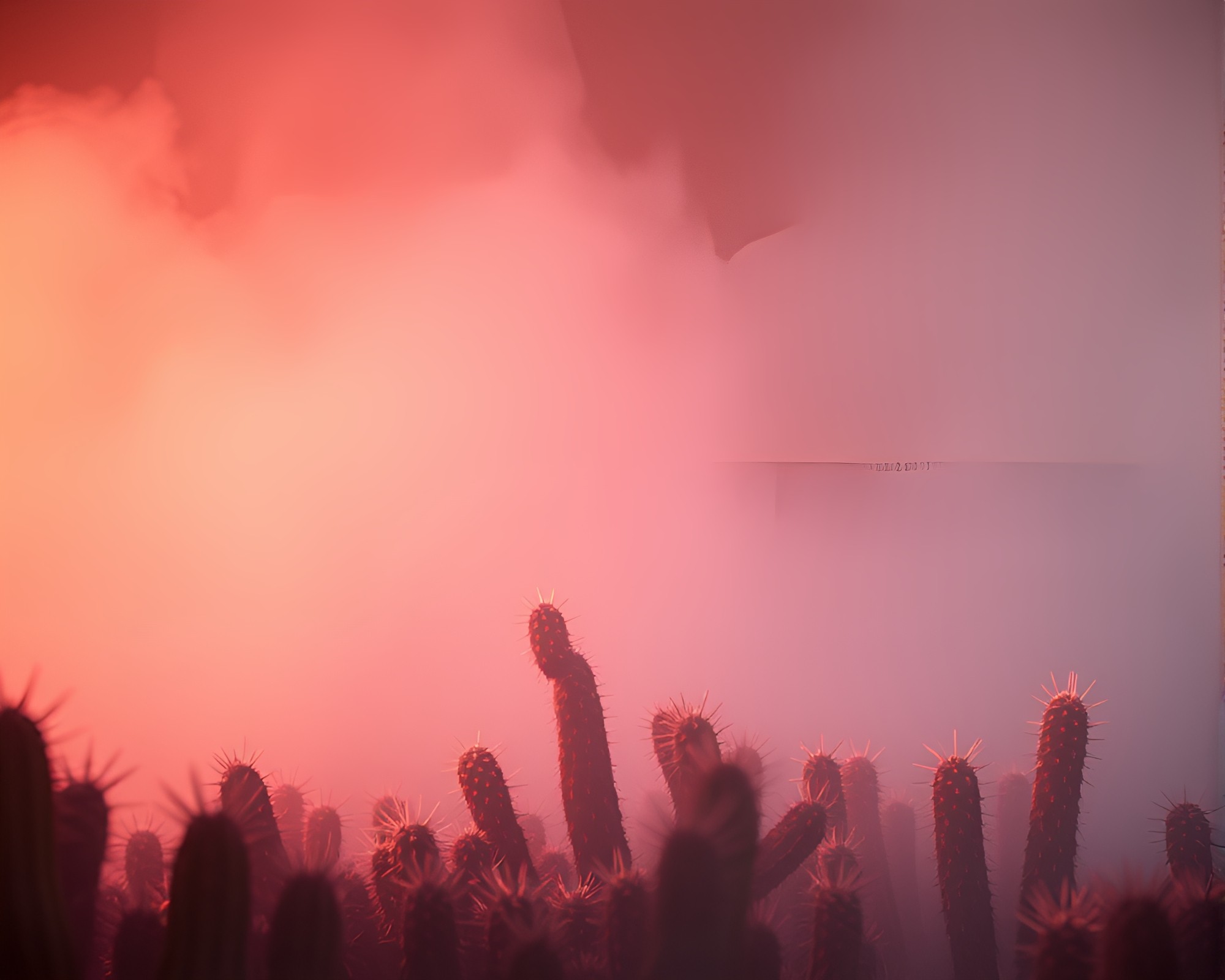 Neon Cactus Oasis in Peachy Fog Drift – free AI stock image
