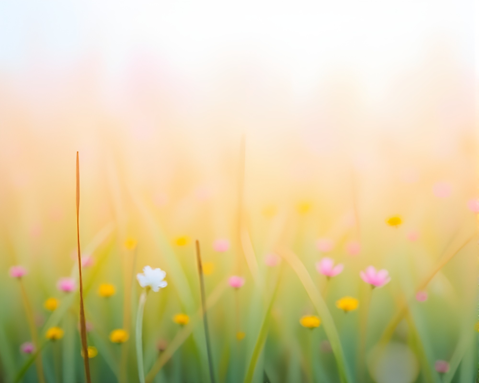 Dreamy Sloth Amidst Pastel Bliss – free AI stock image
