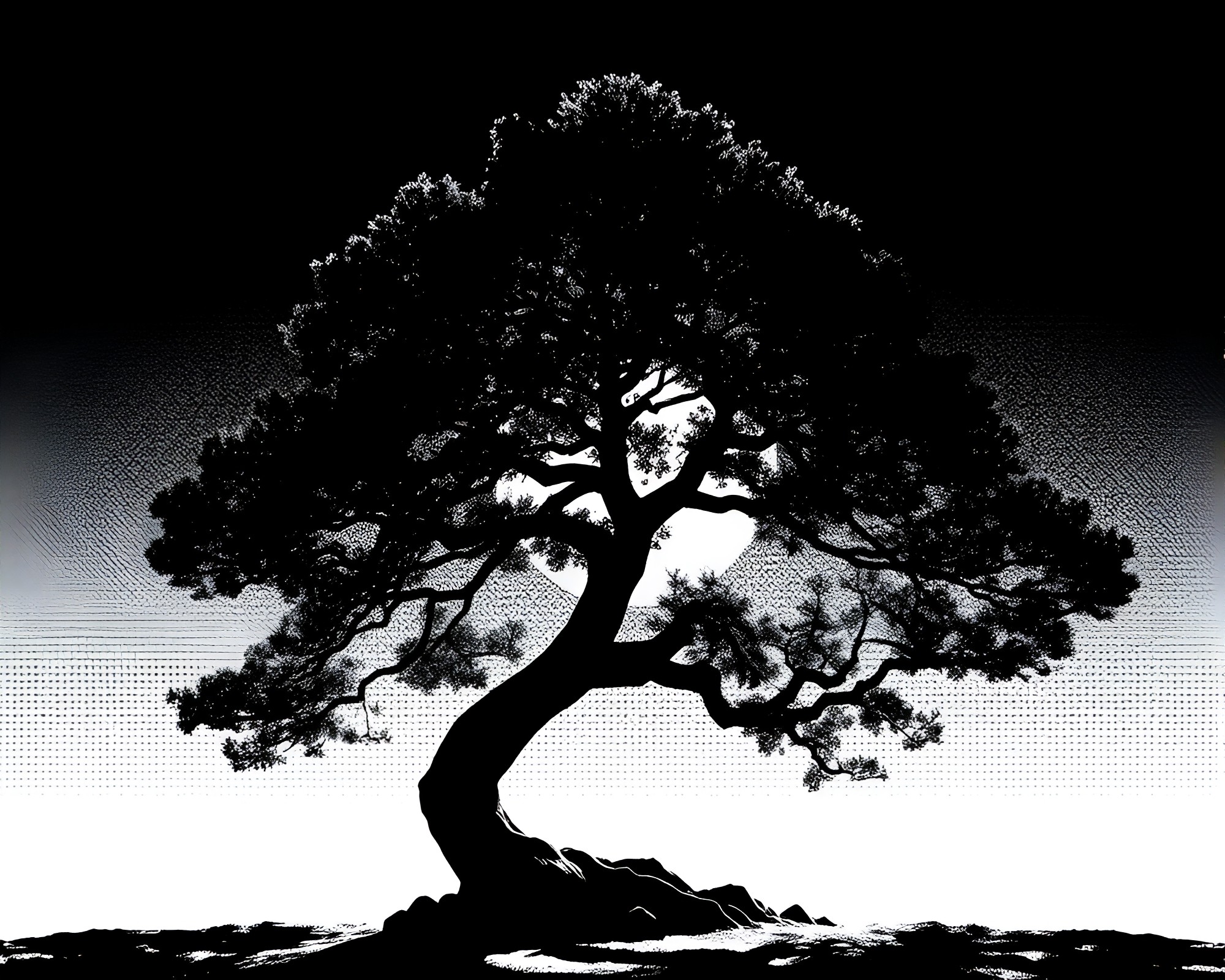 Retro Bonsai Shadow Play in Halftone Pattern Light – free AI stock image