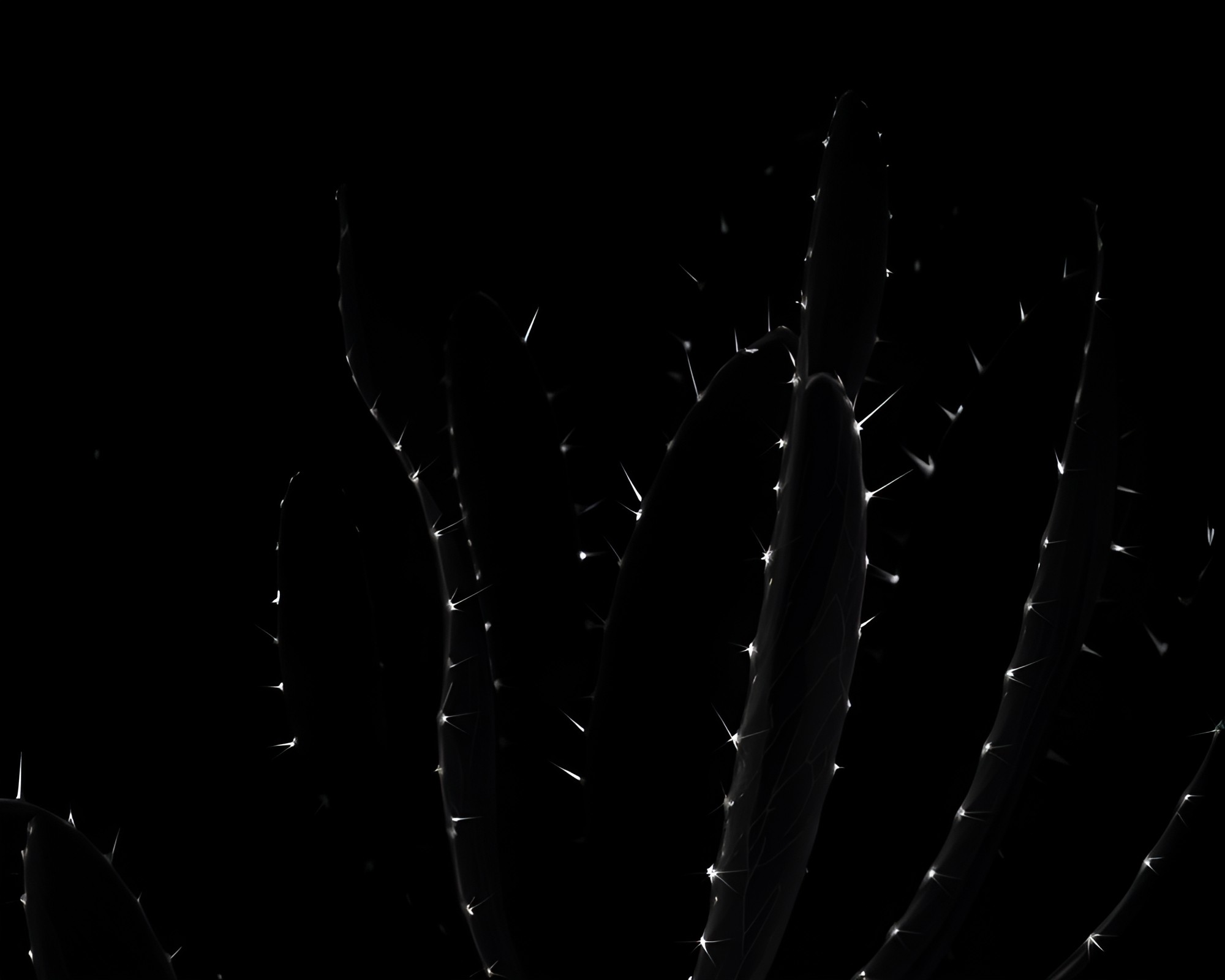 Neon Cactus Illuminated by Leaf Vein Pattern Shadows – free AI stock image