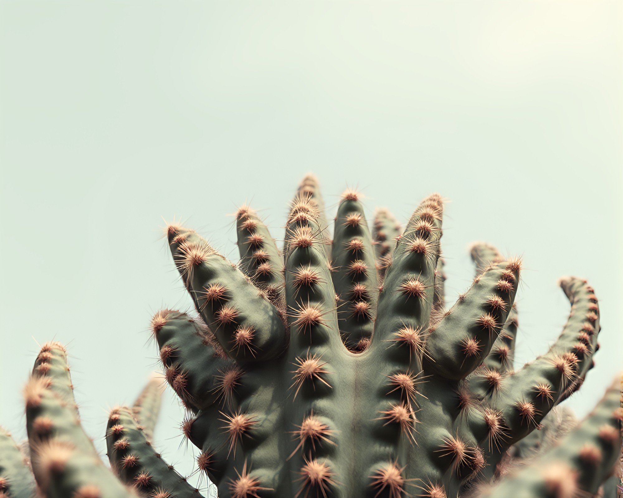 Desert Cactus Towering in AI-Styled Acid Palette – free AI stock image