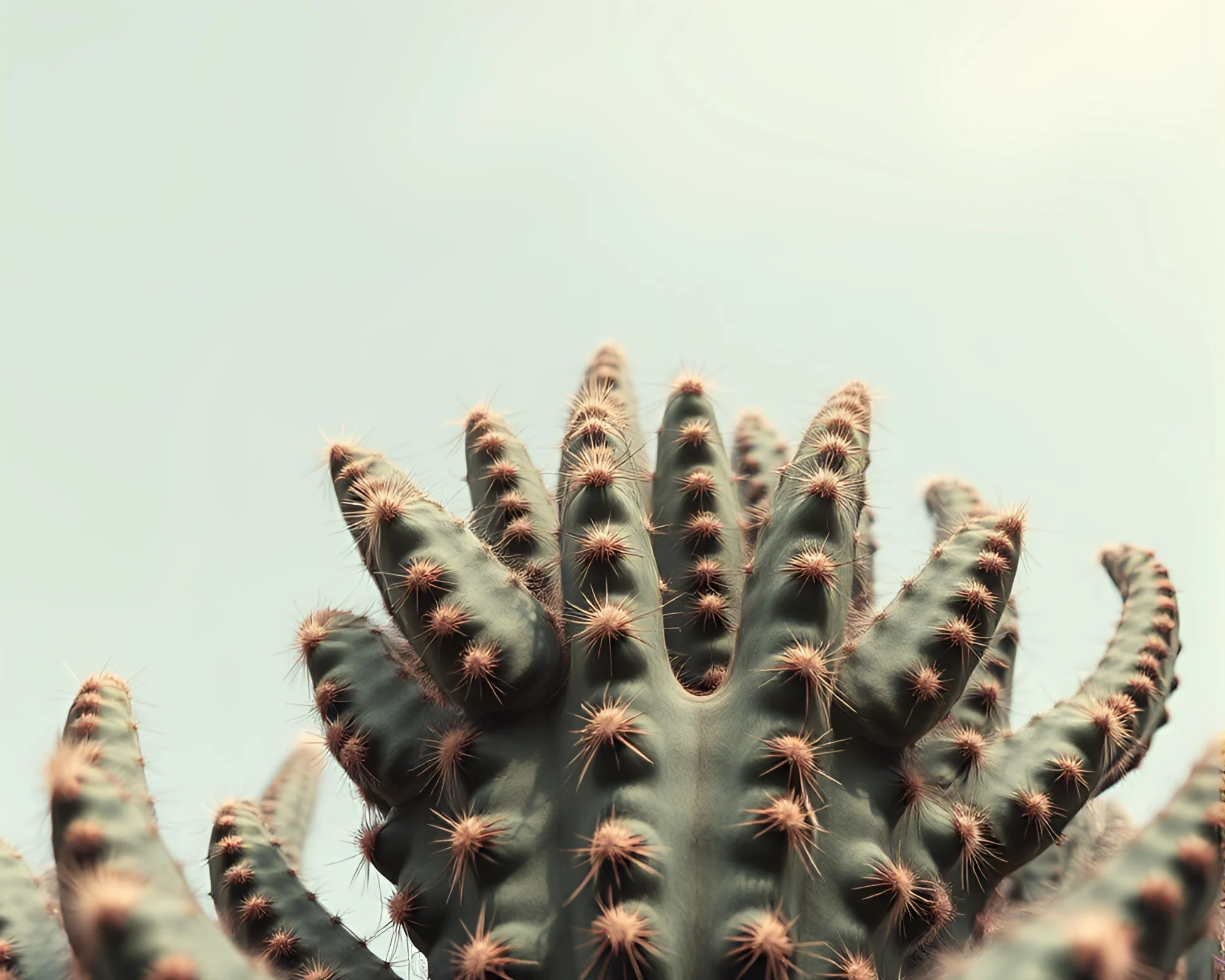Desert Cactus Towering in AI-Styled Acid Palette