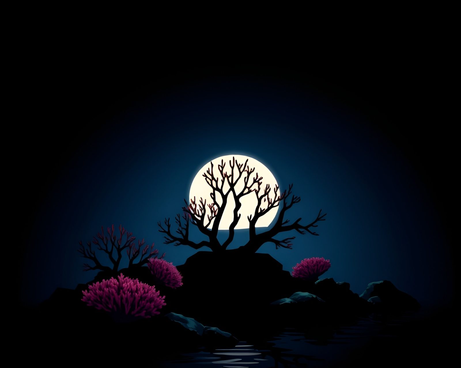 Darkened silhouette of a vibrant underwater coral atoll