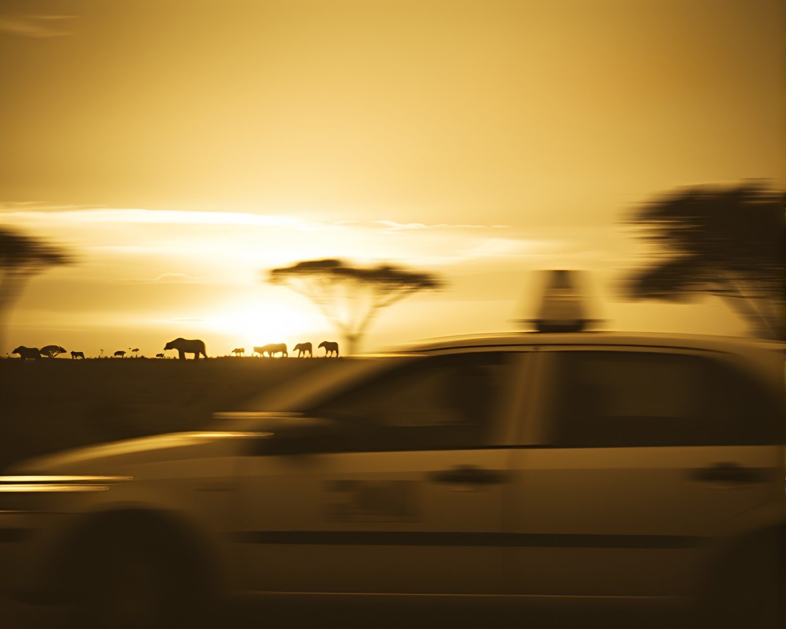 Blurred taxi lights against yellow twilight in vast expanse