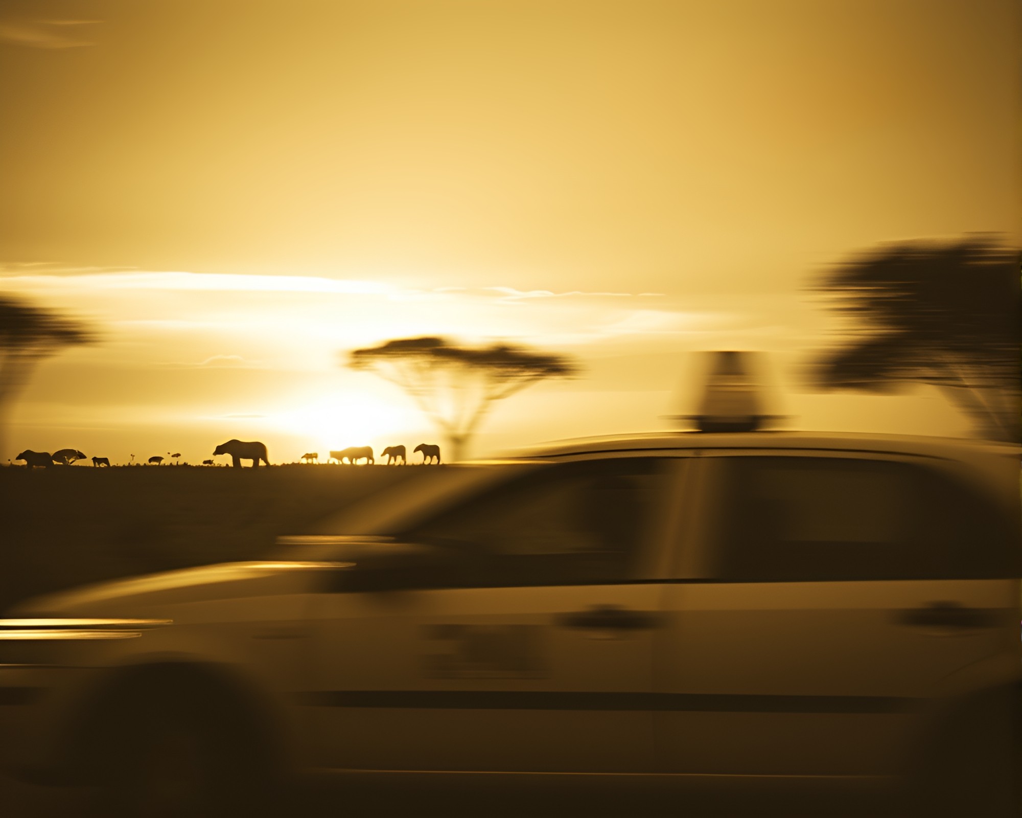 Savanna Sunset Taxi streaks in Monochrome Glow – free AI stock image