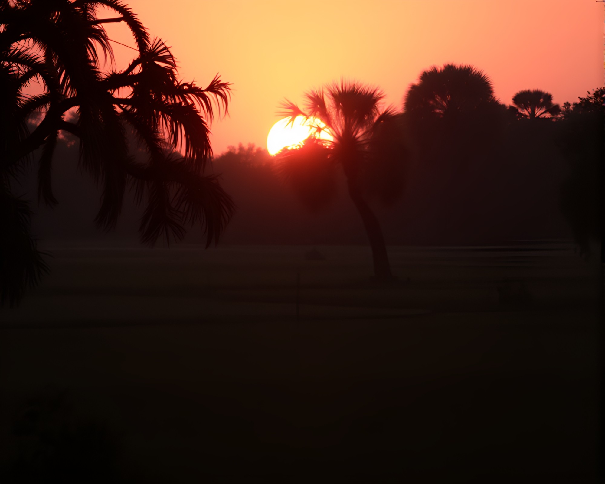 Graceful Giraffe Silhouette in Pink Savannah Sunrise – free AI stock image
