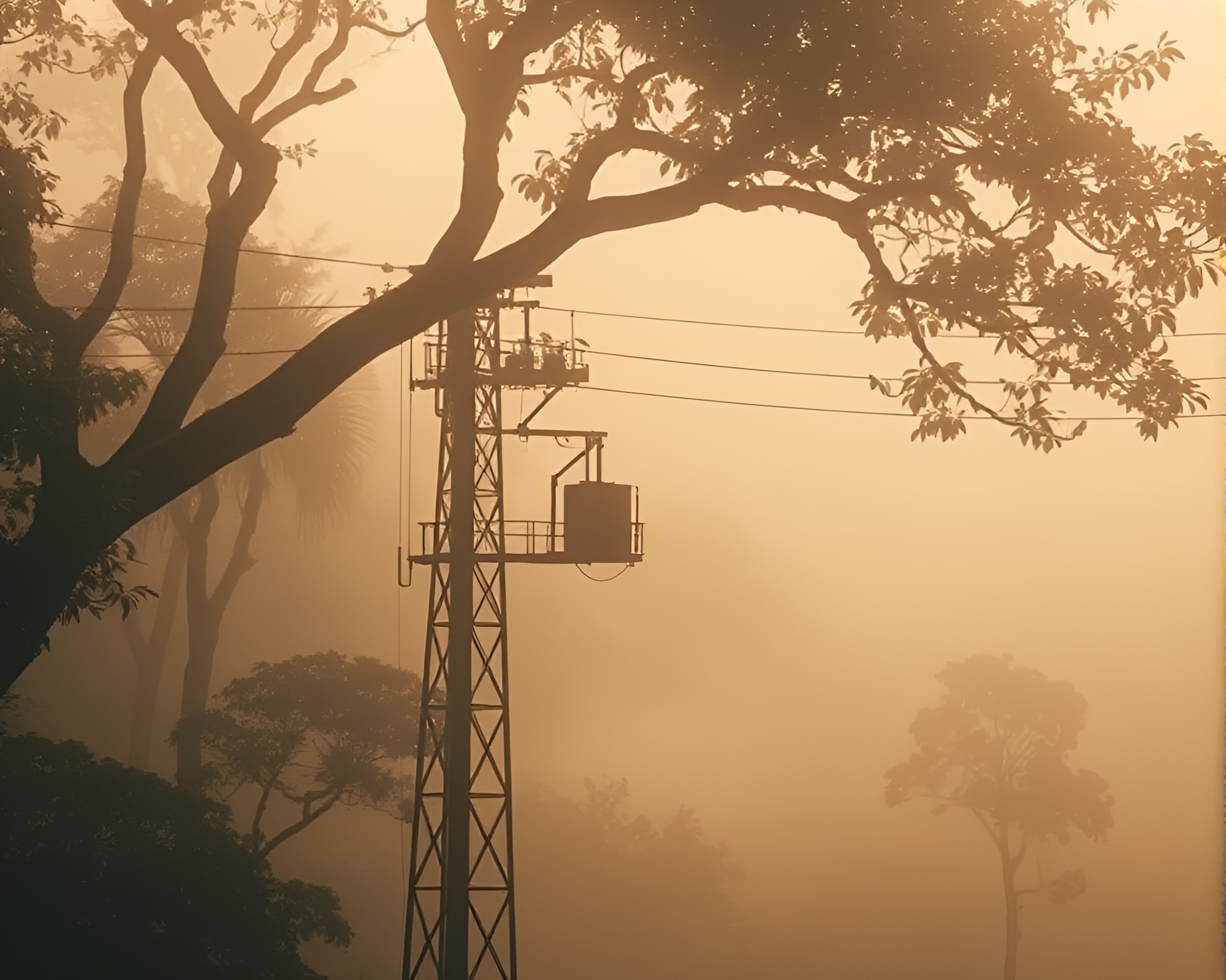 Foggy Morse Code Telegraph in Sepia Jungle – free AI stock image