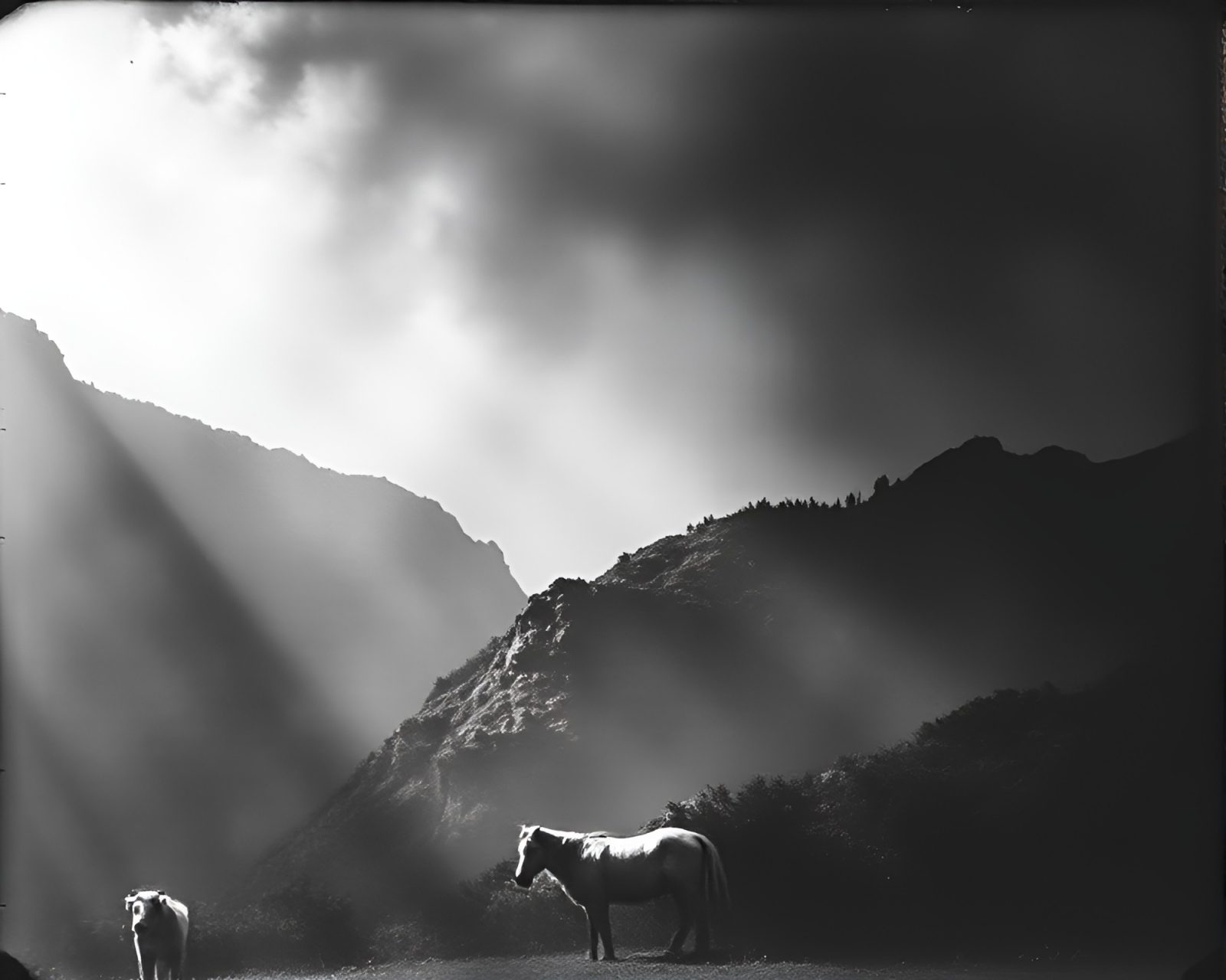Valley landscape with dramatic chiaroscuro lighting and ink wash style