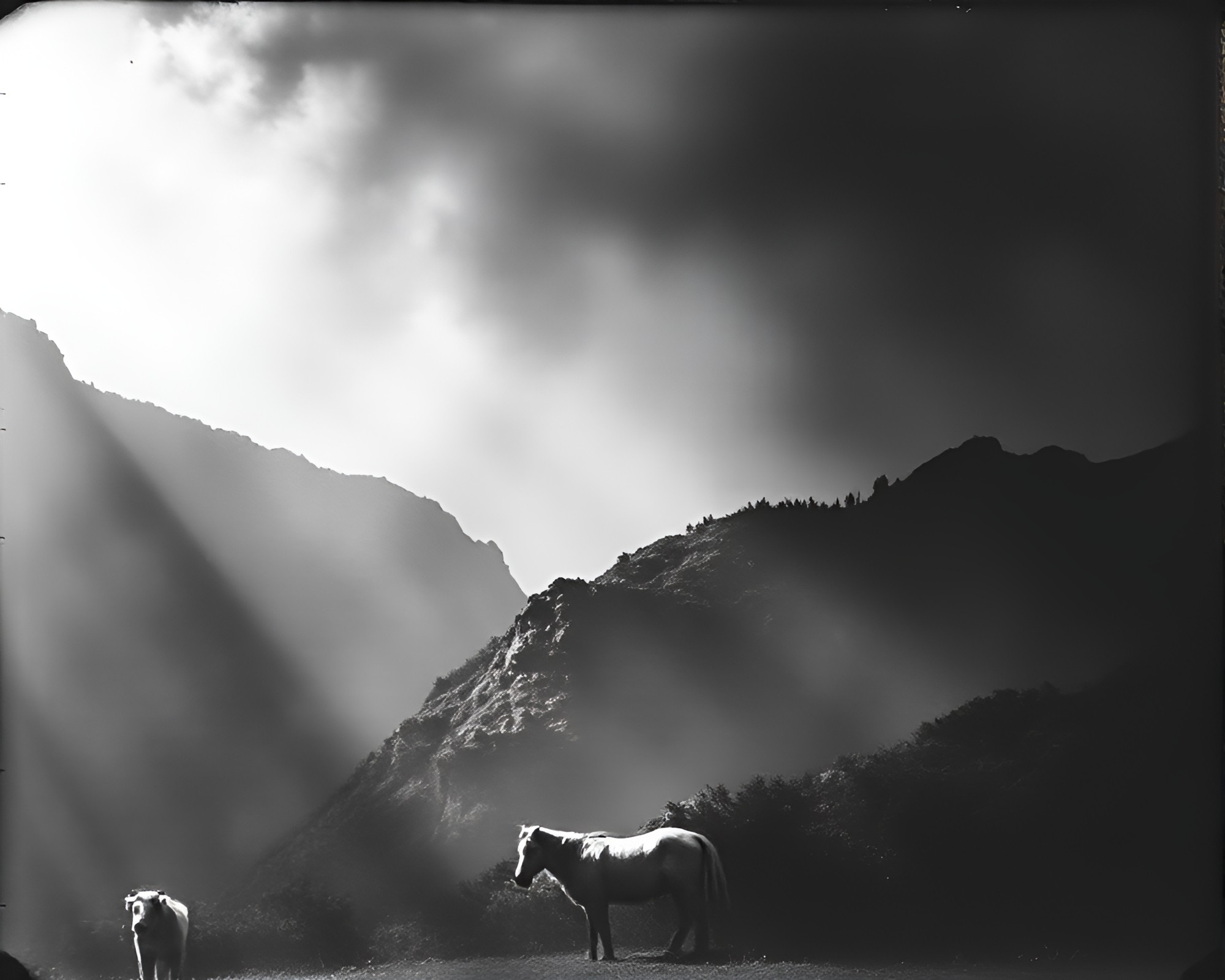 Dramatic Valley Light Leaks Ink Wash Scene – free AI stock image